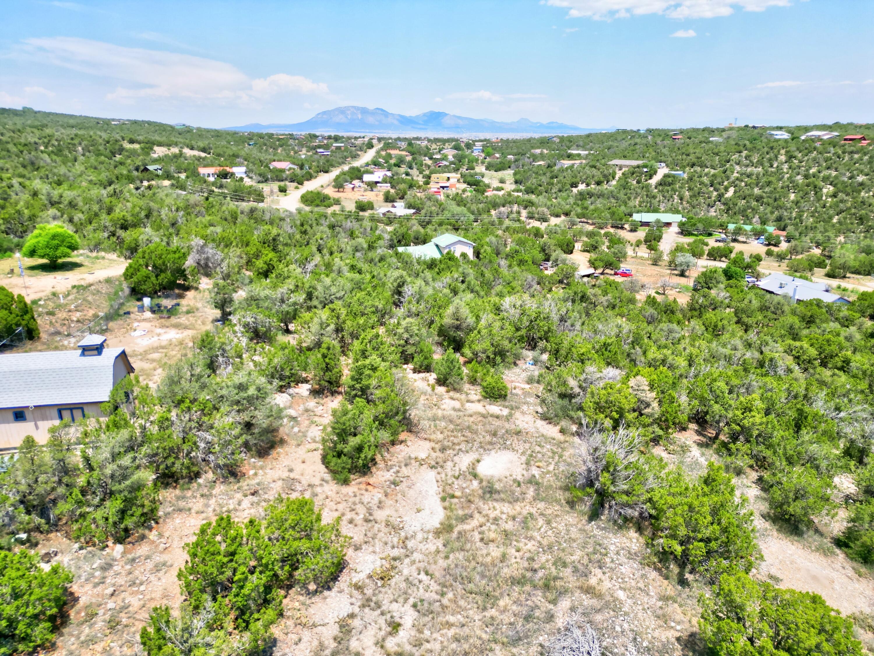 Unassigned Road, Edgewood, New Mexico image 3