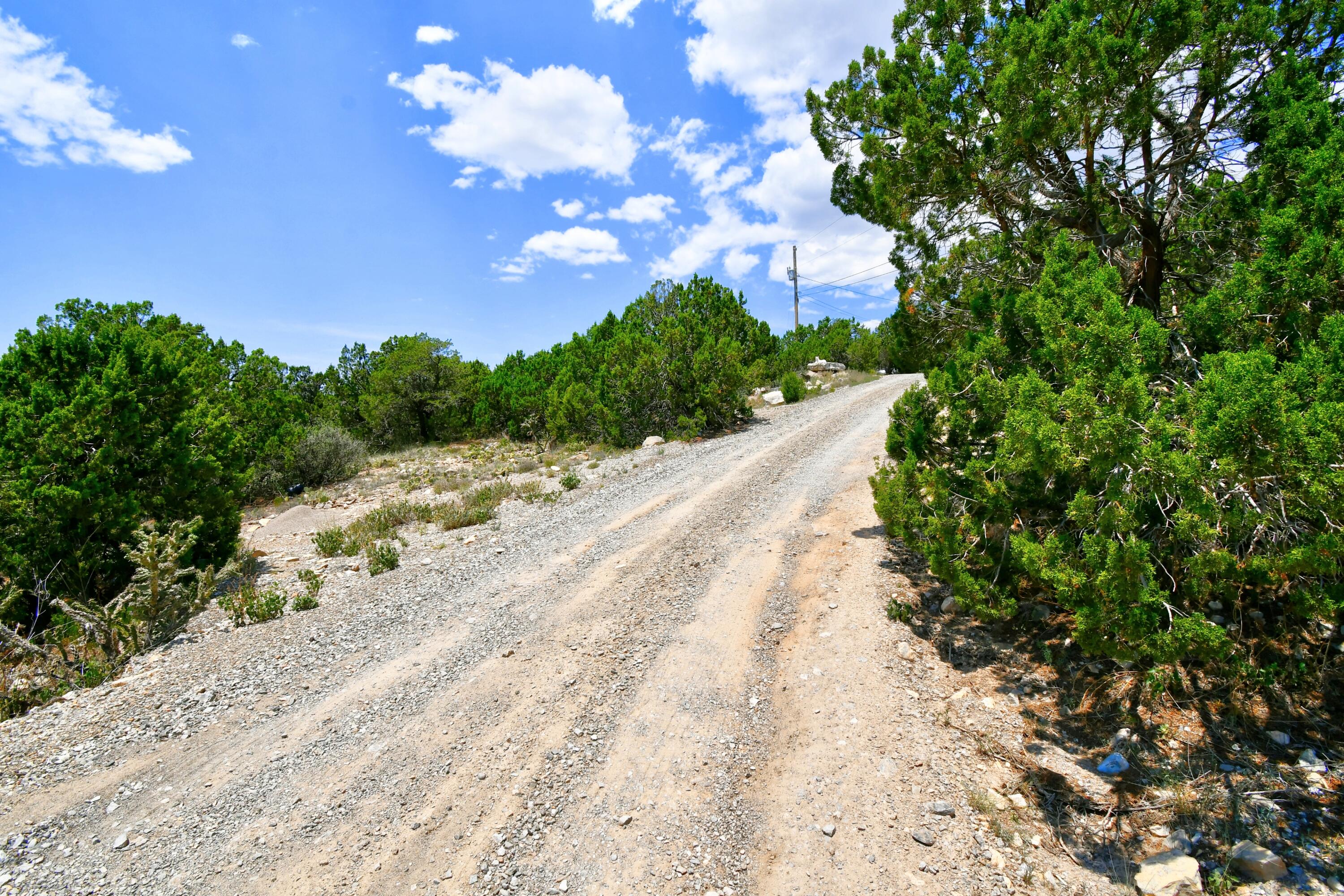 Unassigned Road, Edgewood, New Mexico image 11