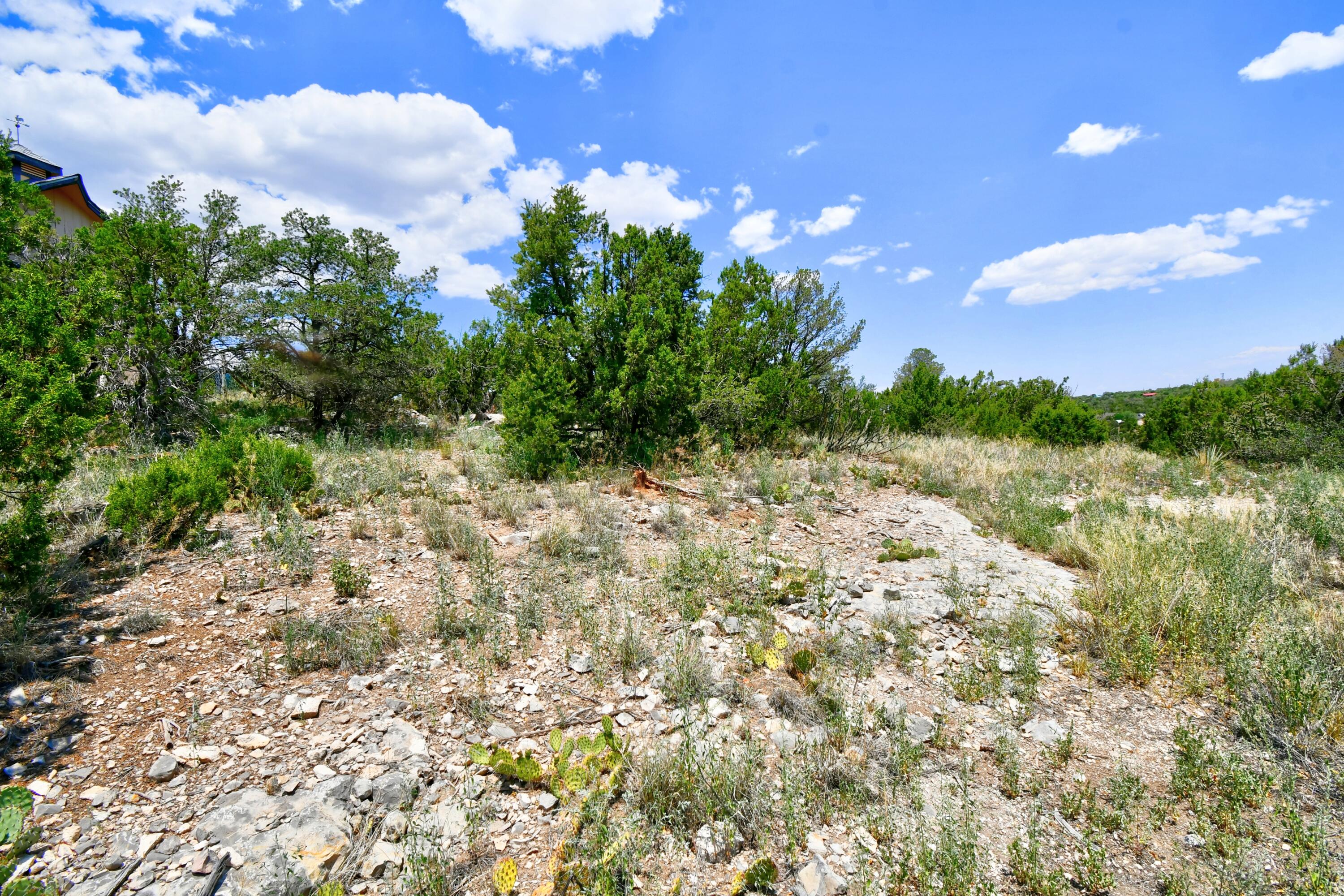 Unassigned Road, Edgewood, New Mexico image 8