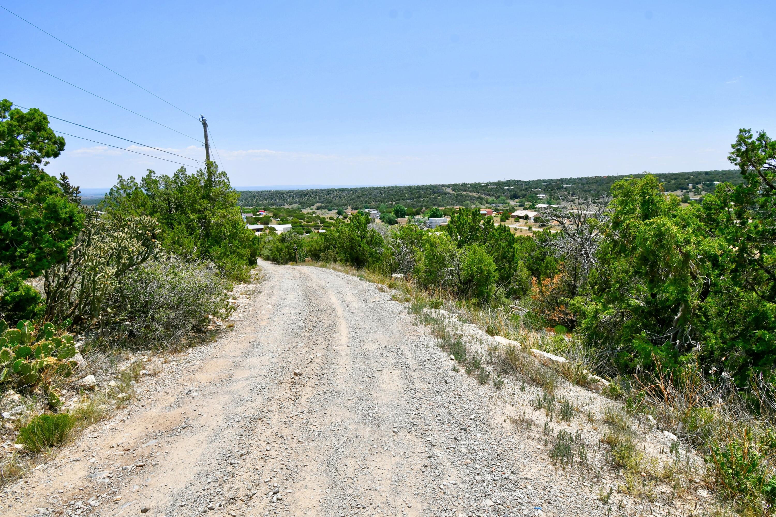 Unassigned Road, Edgewood, New Mexico image 2