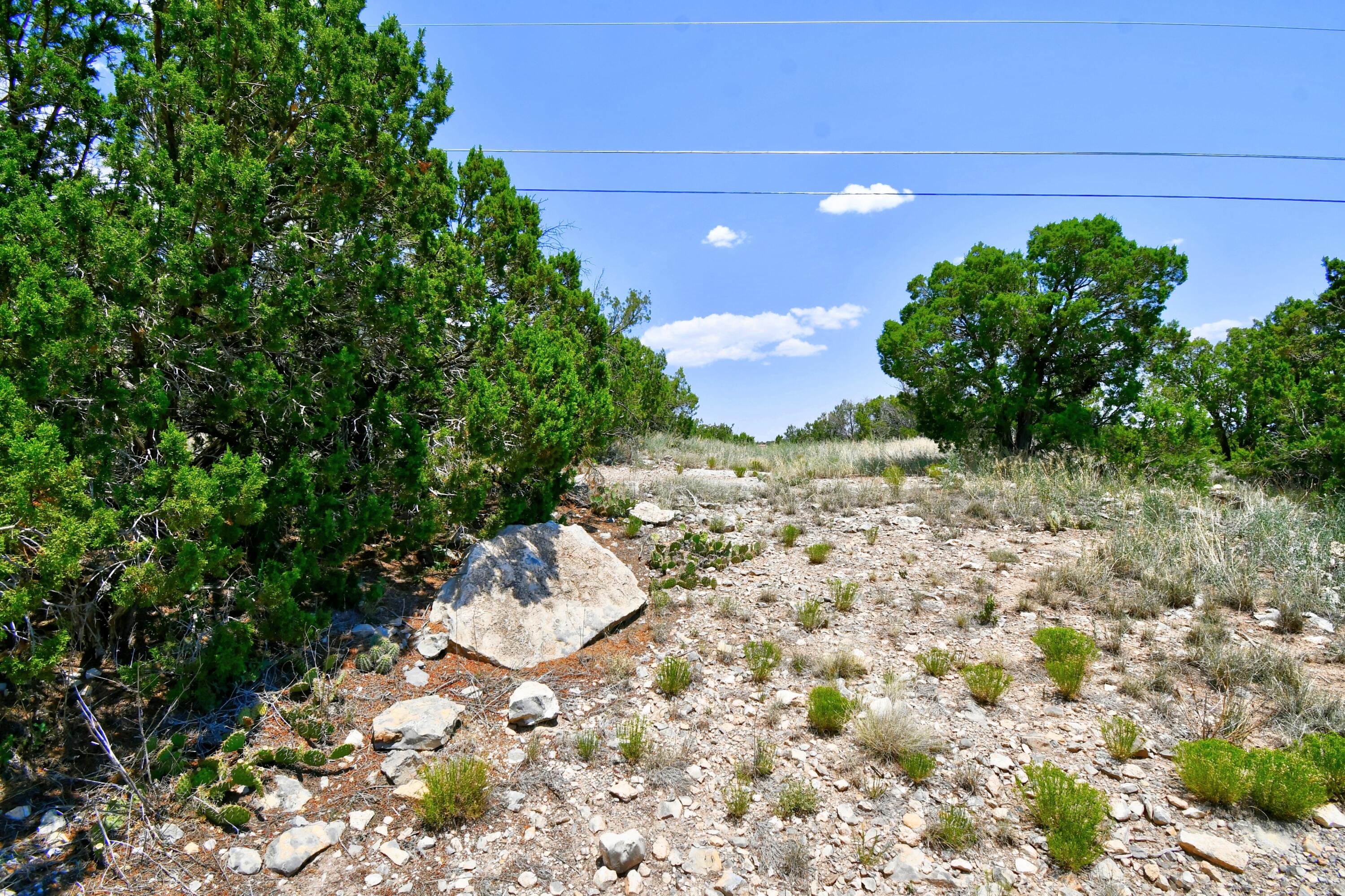 Unassigned Road, Edgewood, New Mexico image 5