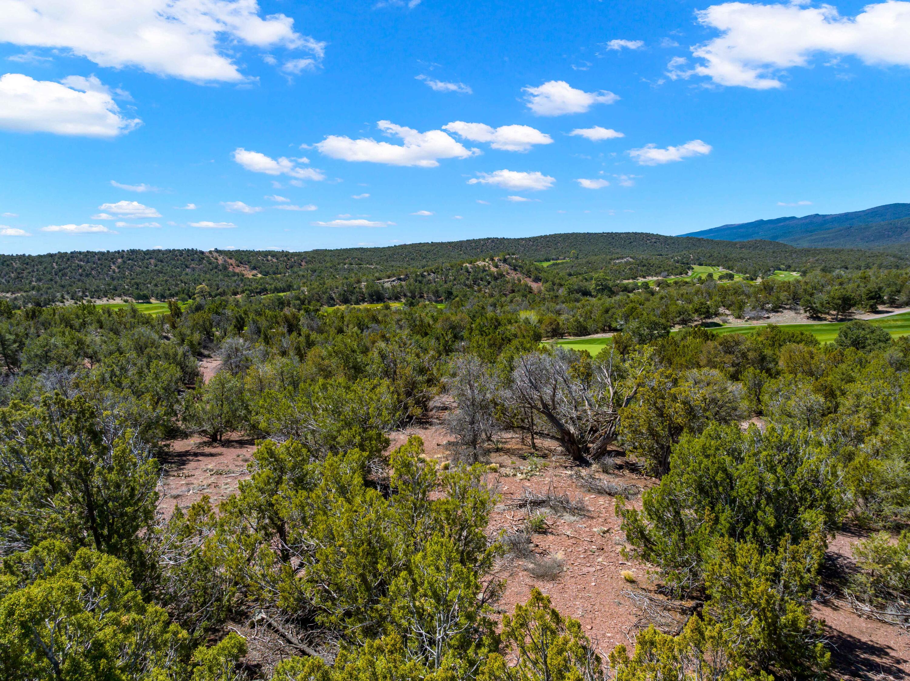 37 Shiprock Road, Sandia Park, New Mexico image 24