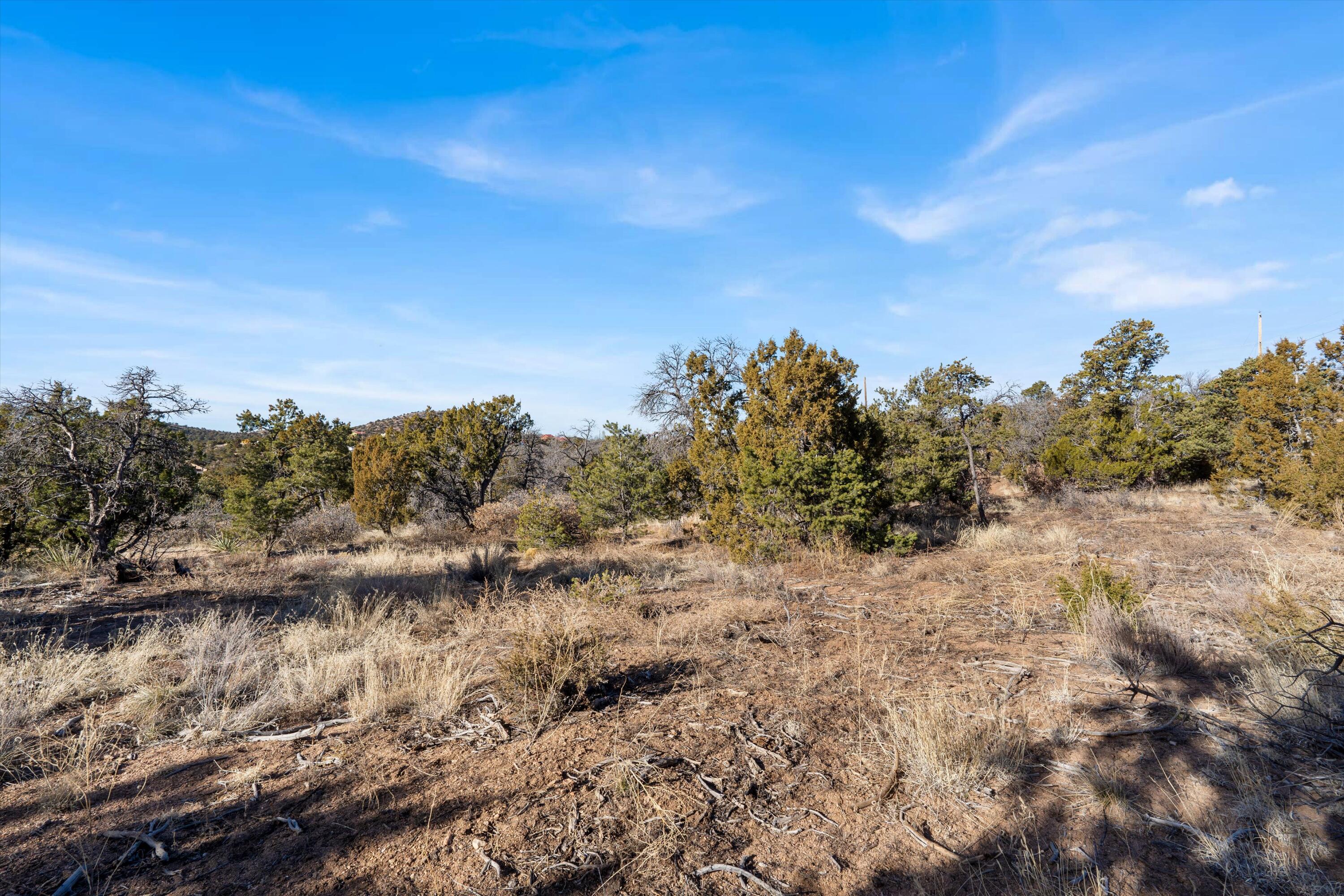 16 Apache Creek Road, Santa Fe, New Mexico image 29