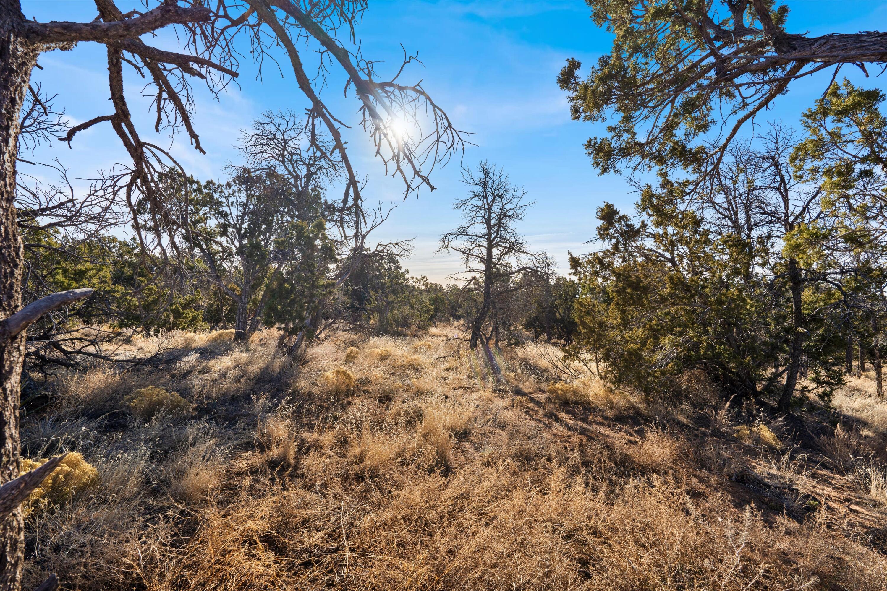 16 Apache Creek Road, Santa Fe, New Mexico image 23