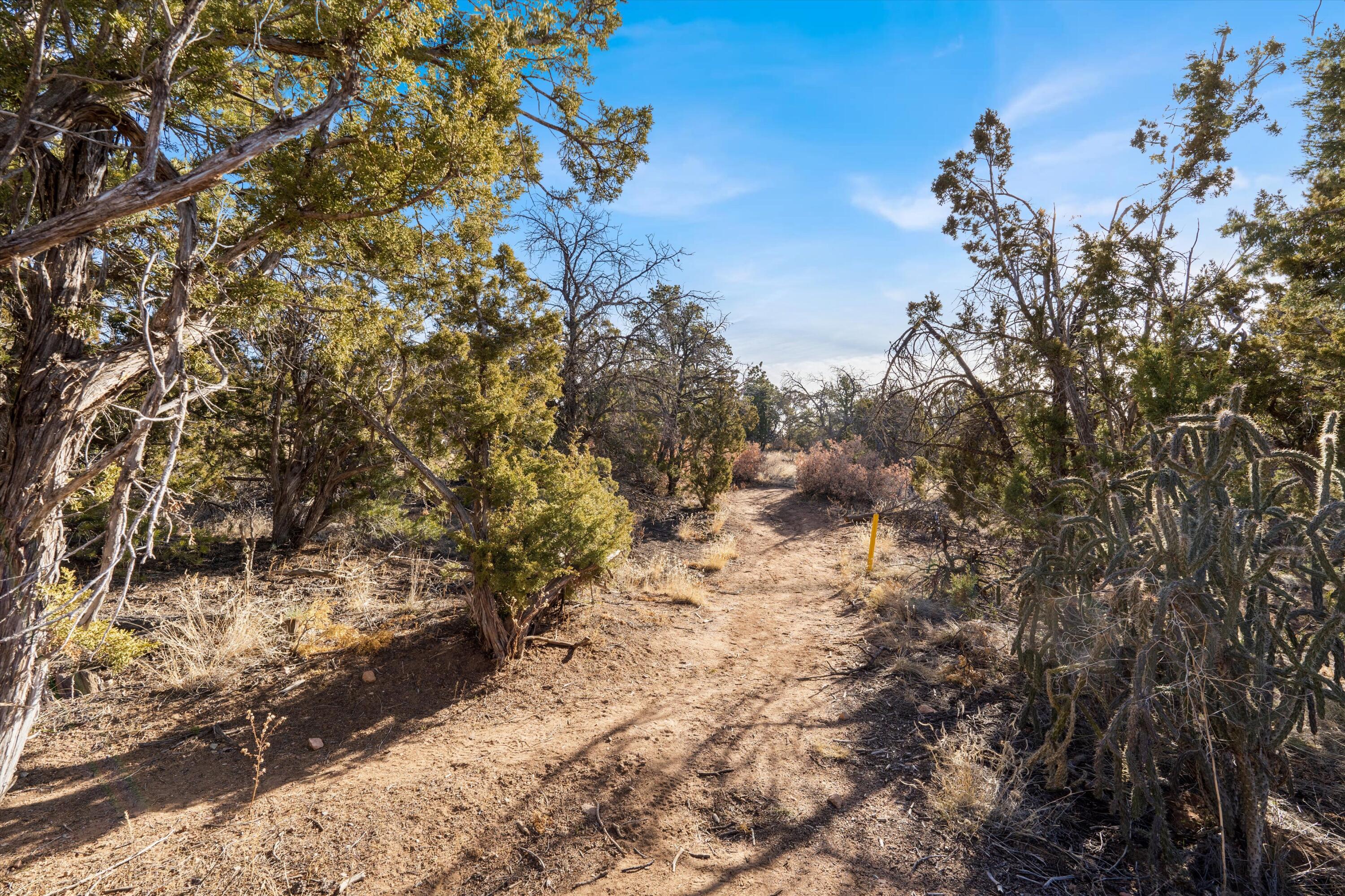 16 Apache Creek Road, Santa Fe, New Mexico image 24