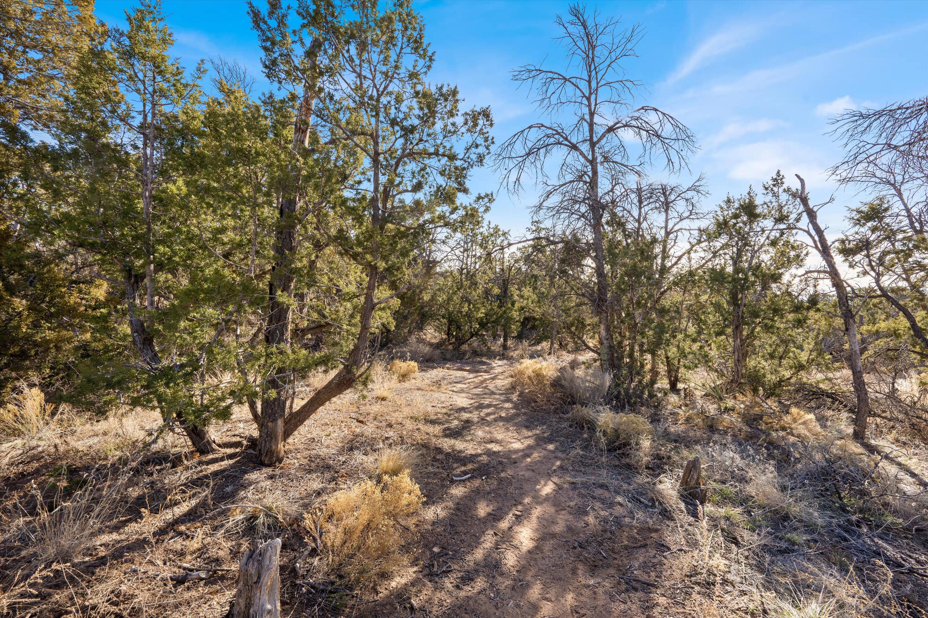 16 Apache Creek Road, Santa Fe, New Mexico image 21