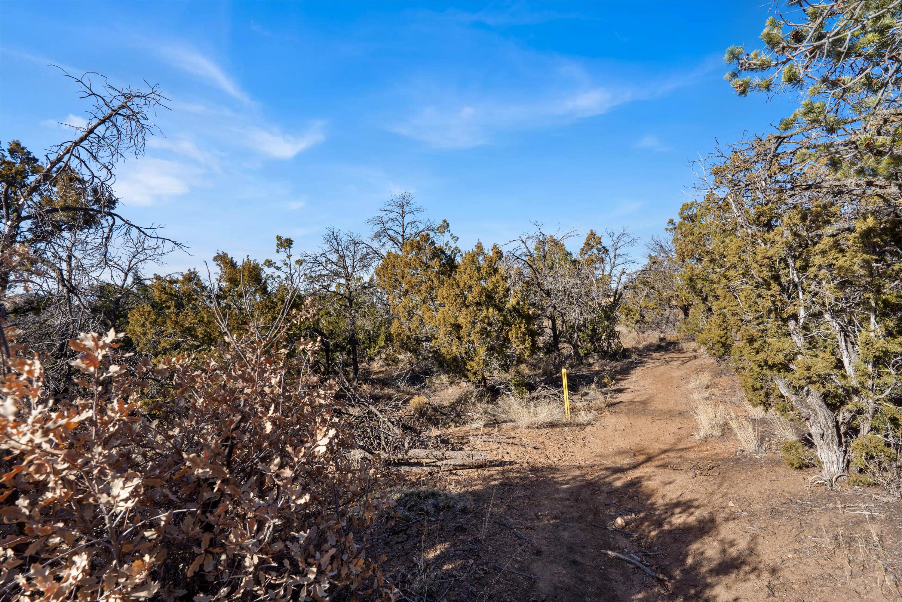 16 Apache Creek Road, Santa Fe, New Mexico image 27