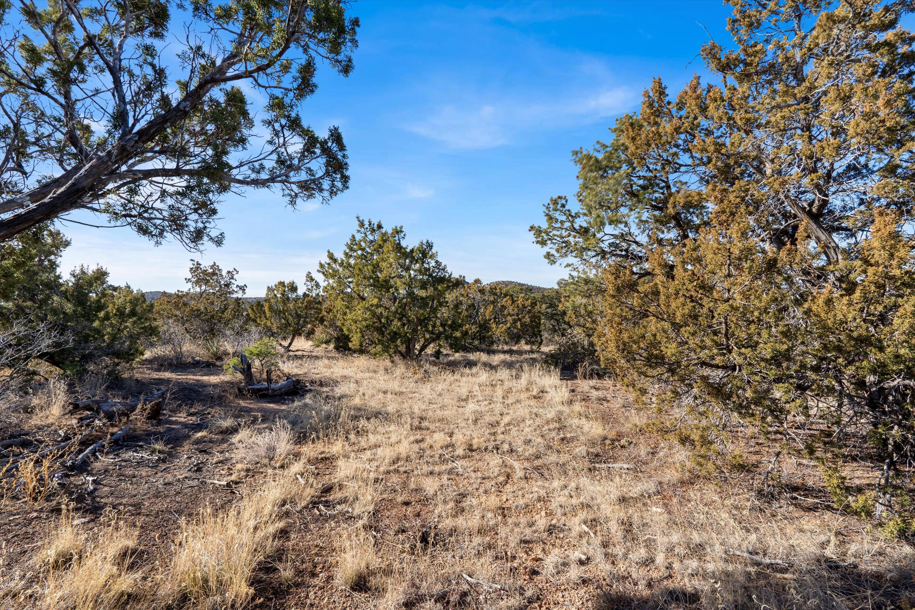 16 Apache Creek Road, Santa Fe, New Mexico image 22