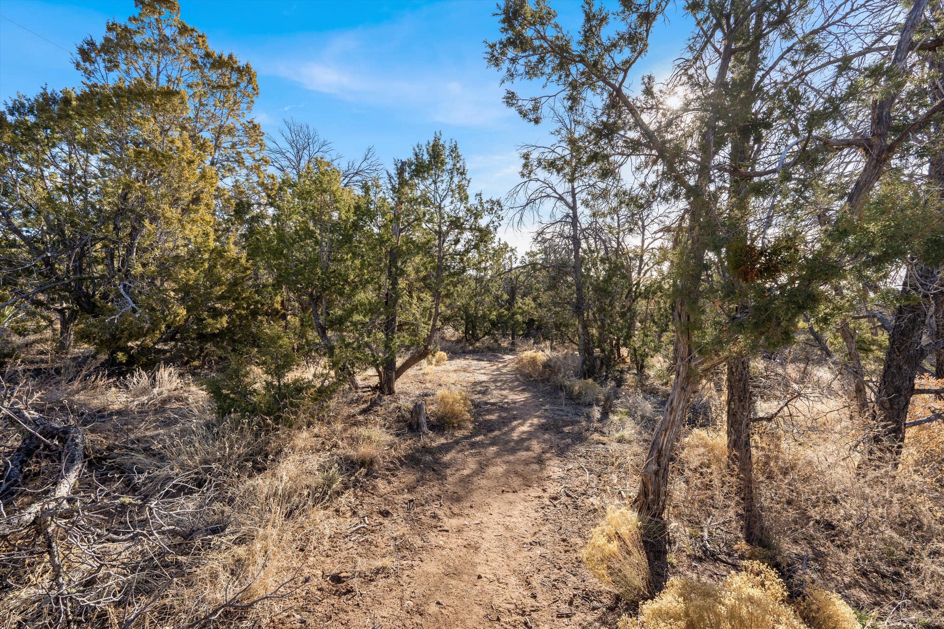 16 Apache Creek Road, Santa Fe, New Mexico image 20