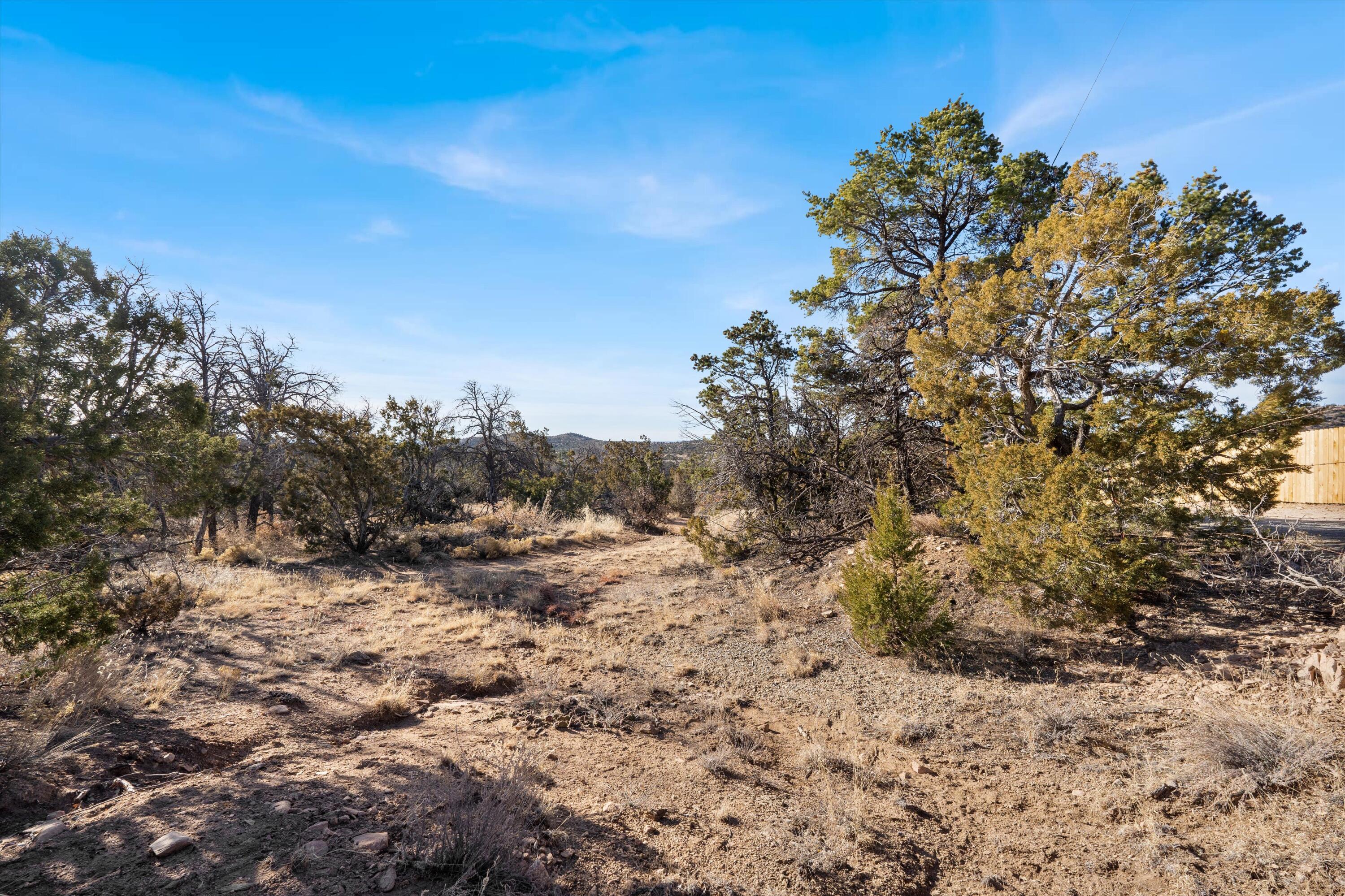 16 Apache Creek Road, Santa Fe, New Mexico image 26