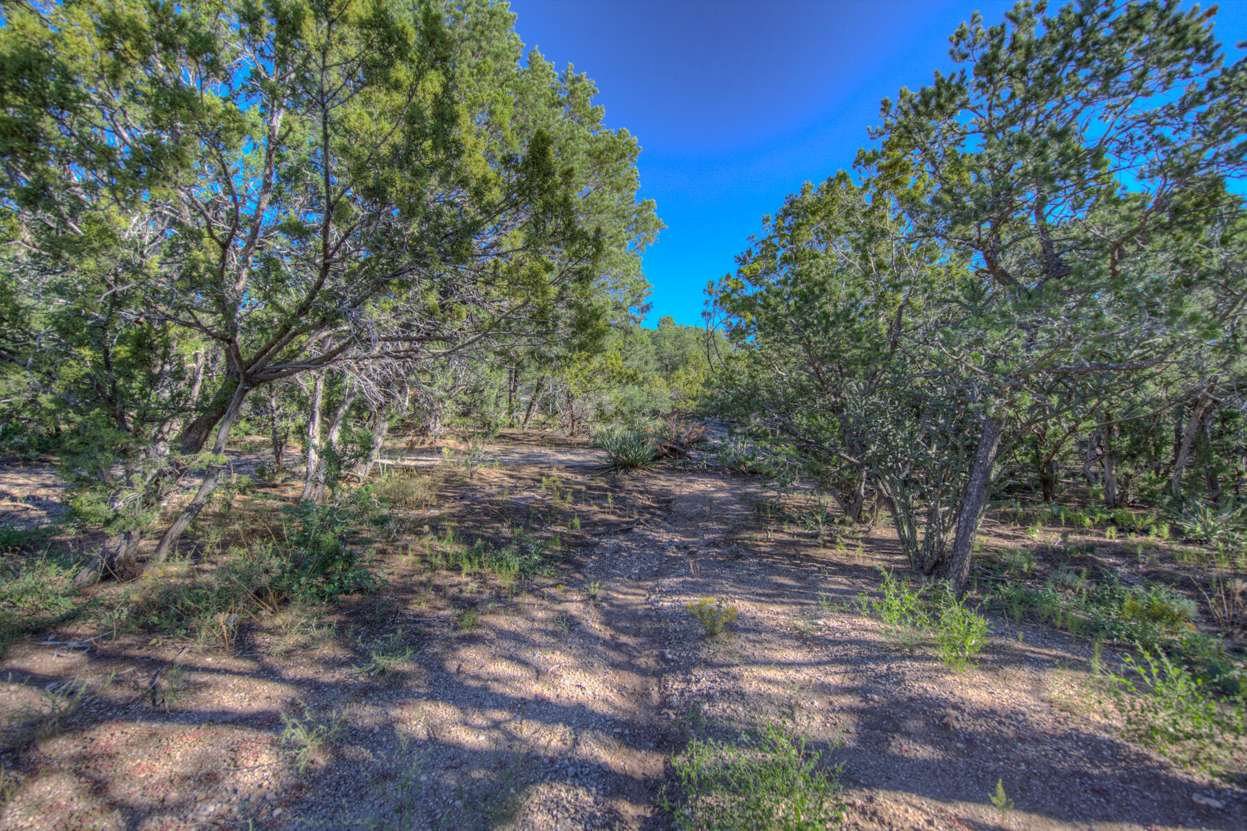 275 Sedillo Hill Road, Tijeras, New Mexico image 7