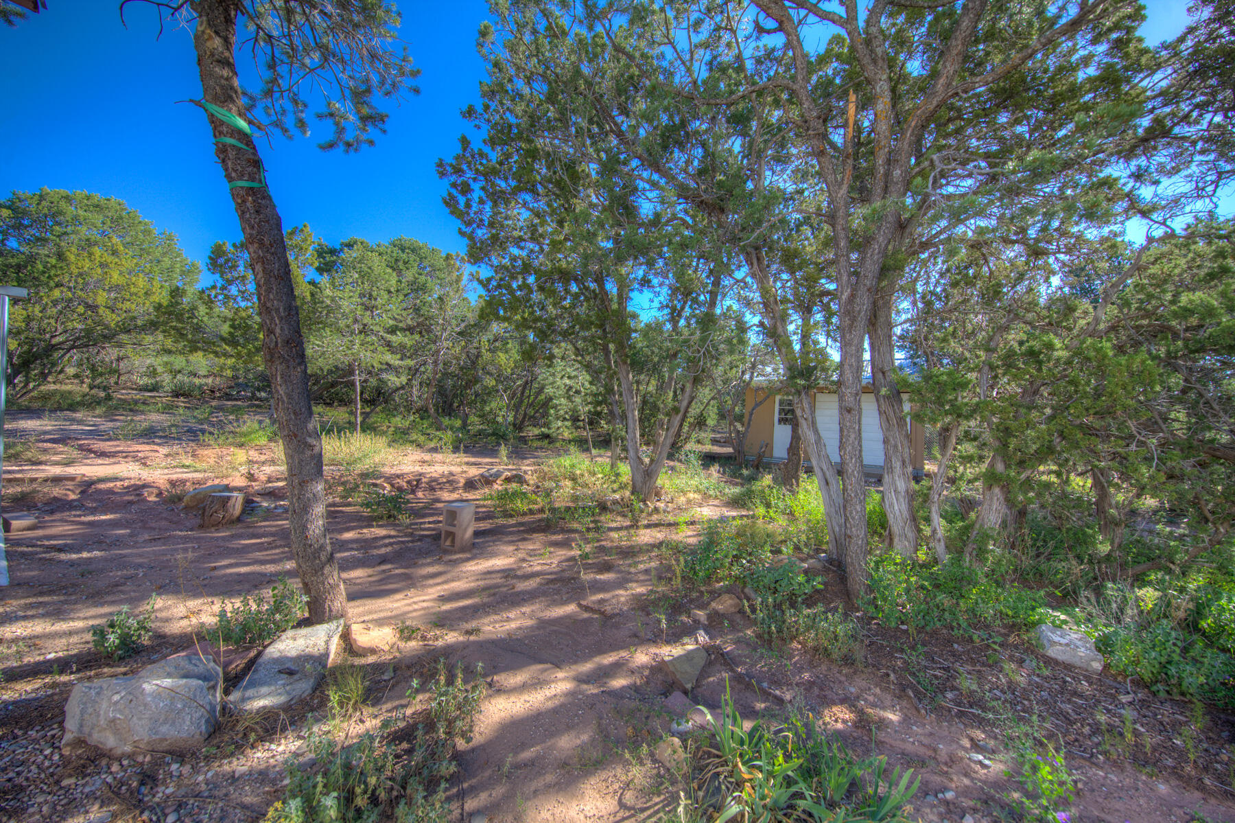 275 Sedillo Hill Road, Tijeras, New Mexico image 32