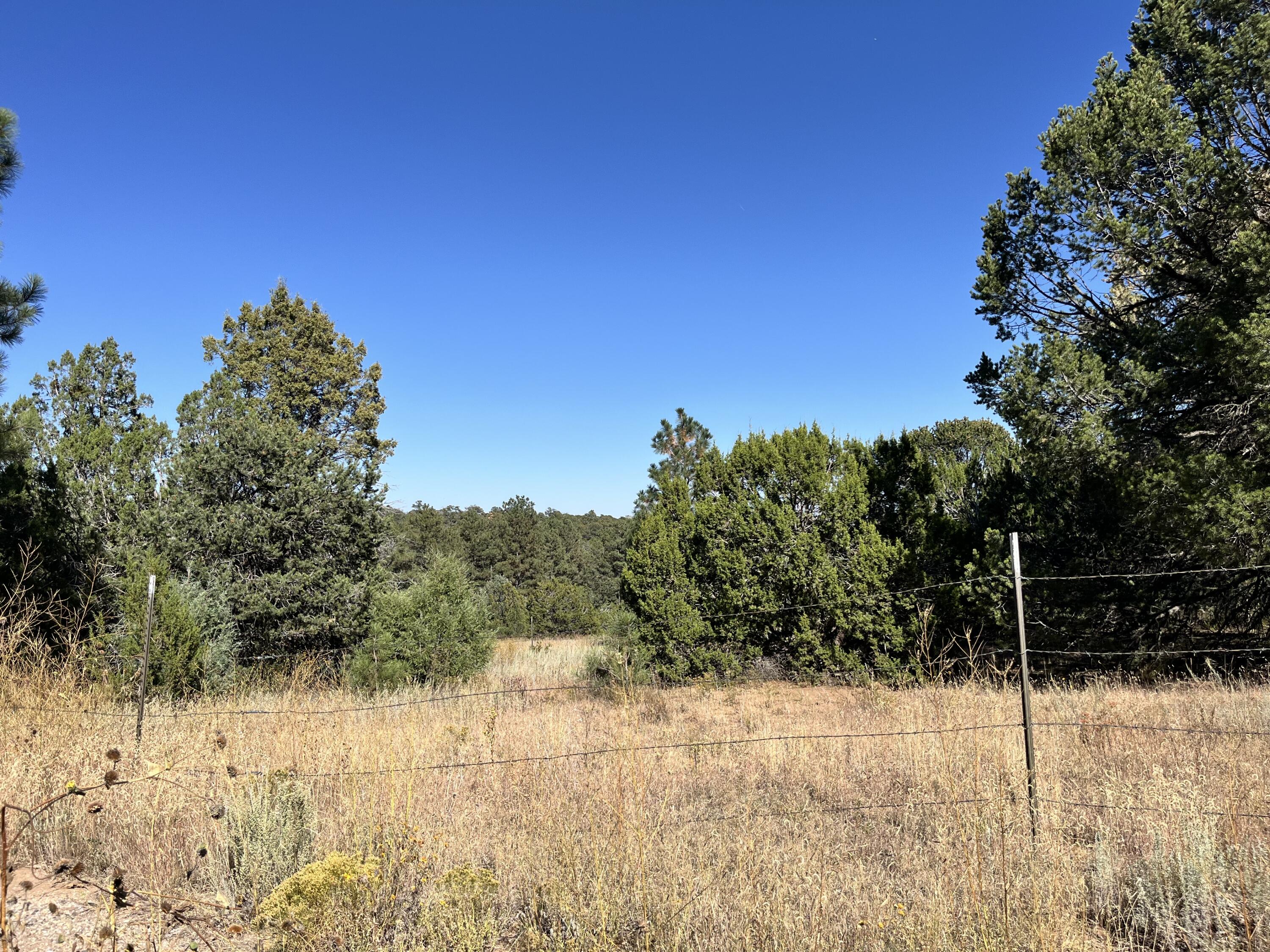 4 Camino Flora Ct, Tijeras, New Mexico image 3