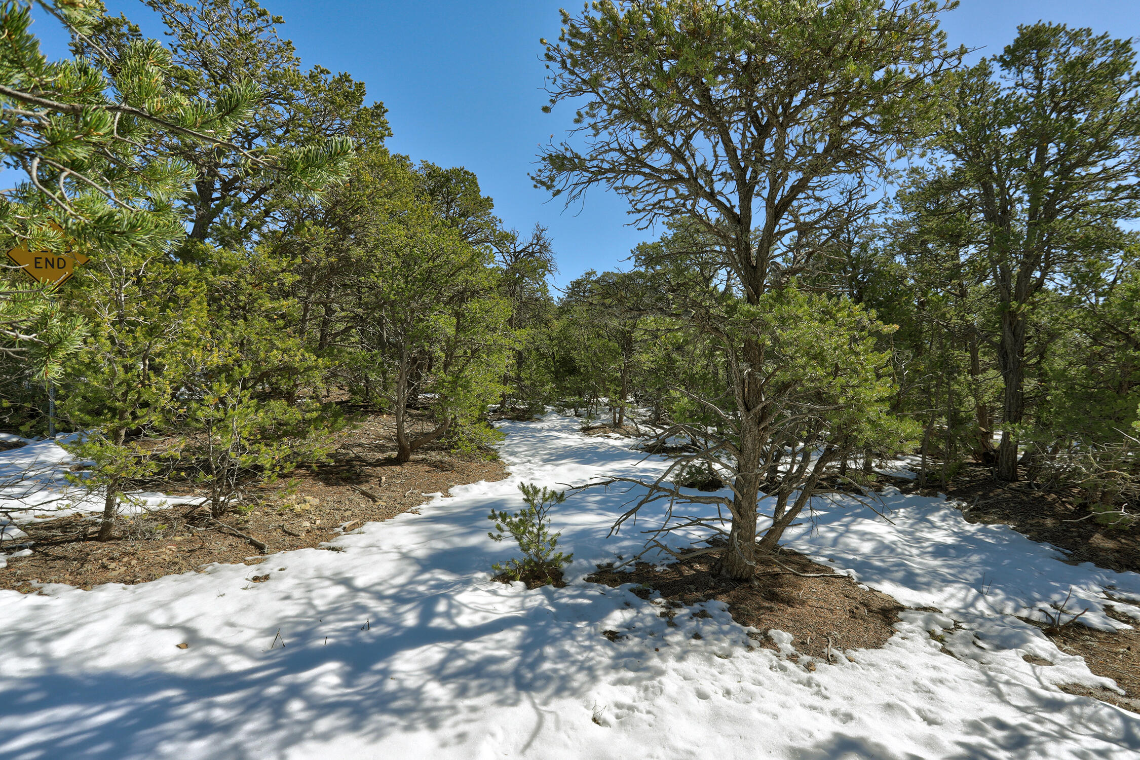 145 Via Sedillo Rd, Tijeras, New Mexico image 15