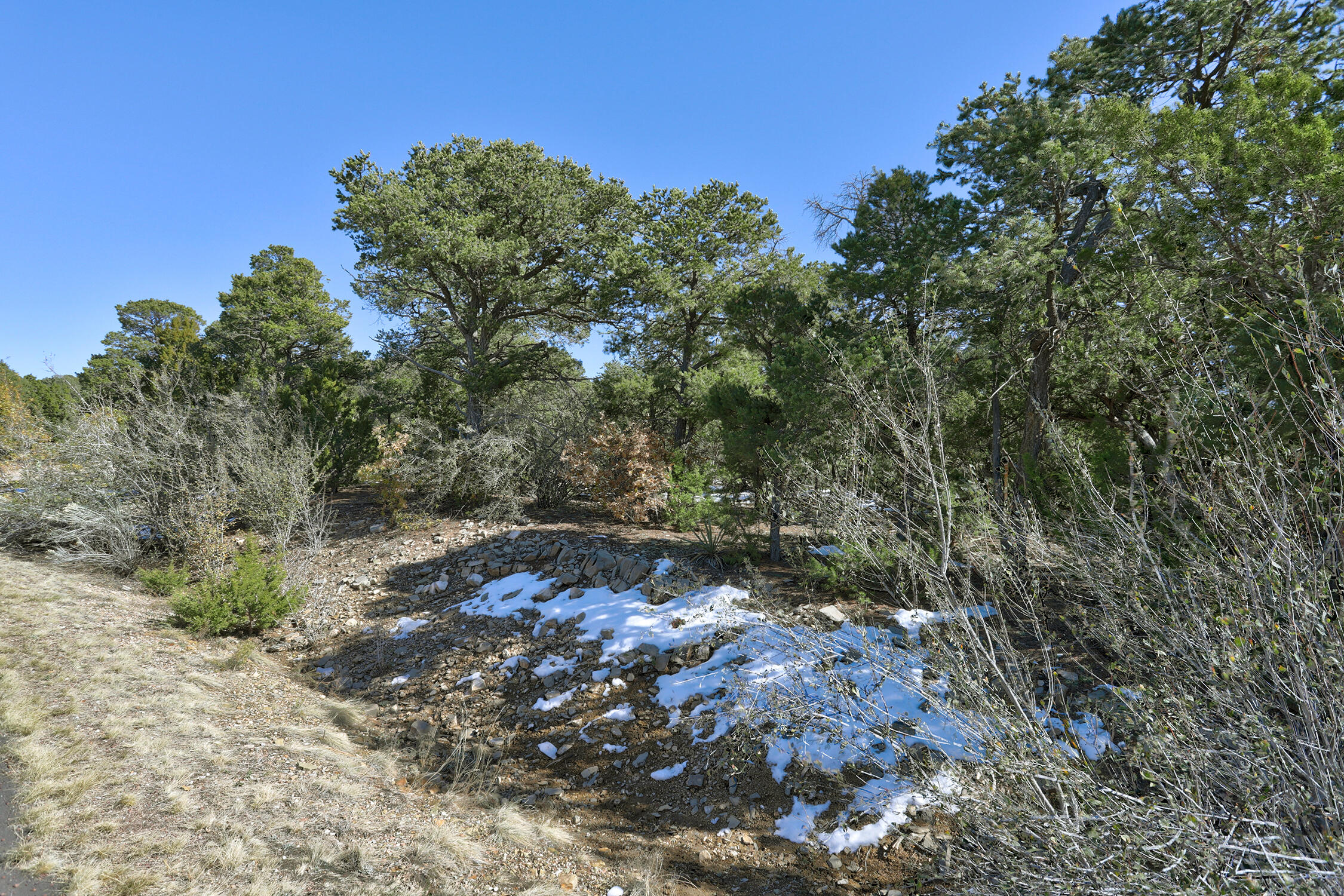 145 Via Sedillo Rd, Tijeras, New Mexico image 22