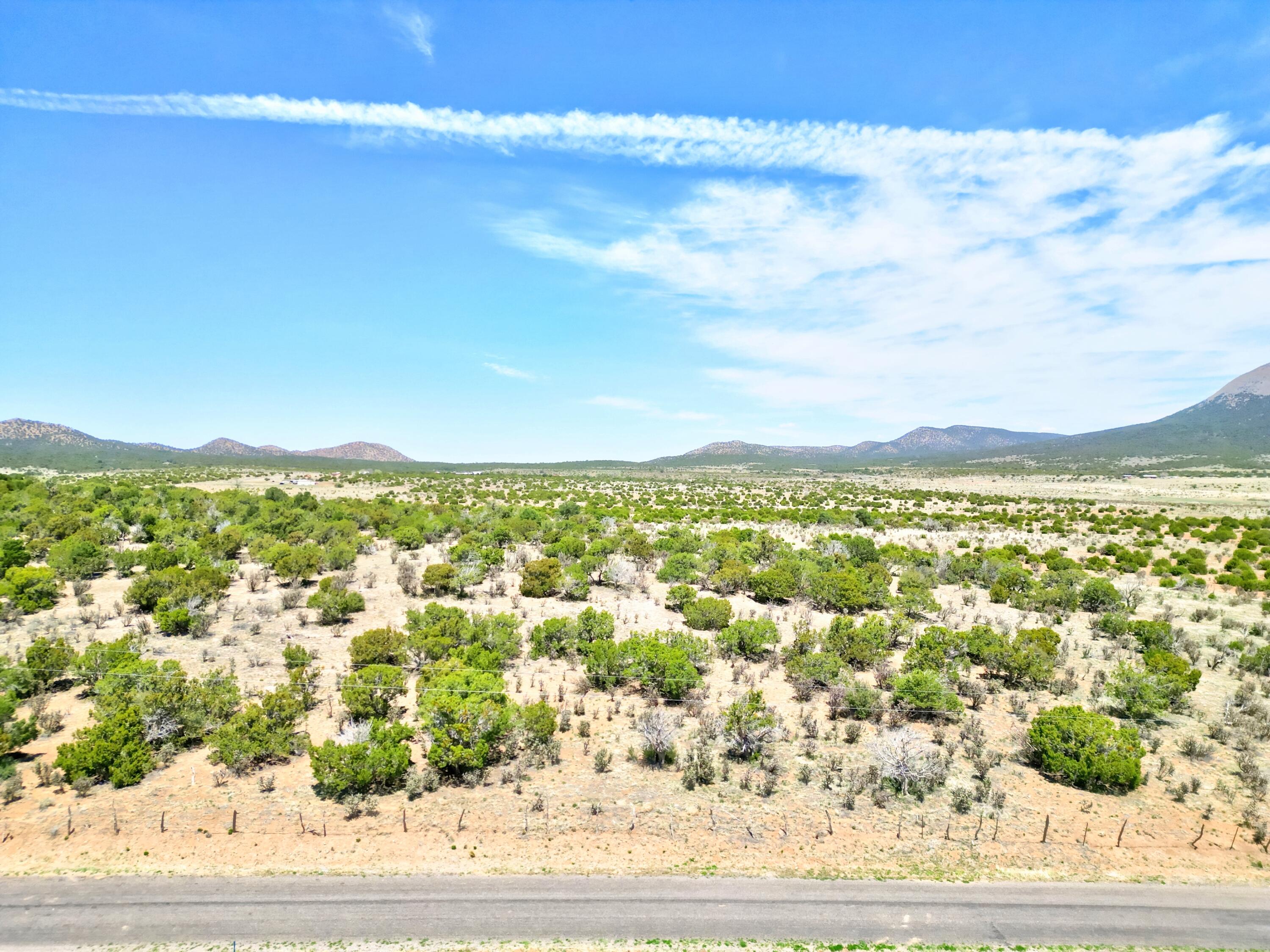 201 Entranosa/ Lot 5 Road, Edgewood, New Mexico image 4