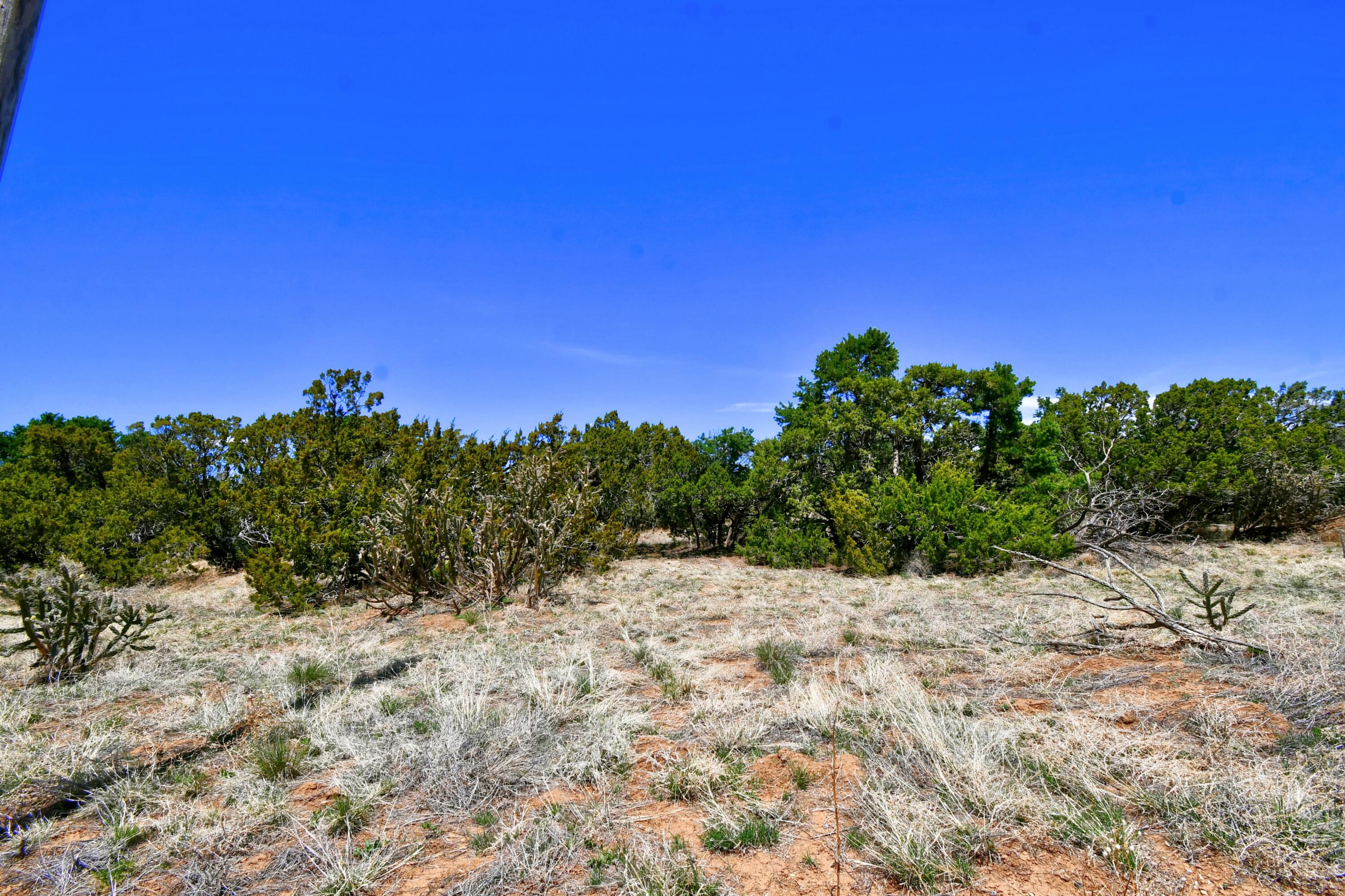 201 Entranosa/ Lot 5 Road, Edgewood, New Mexico image 2