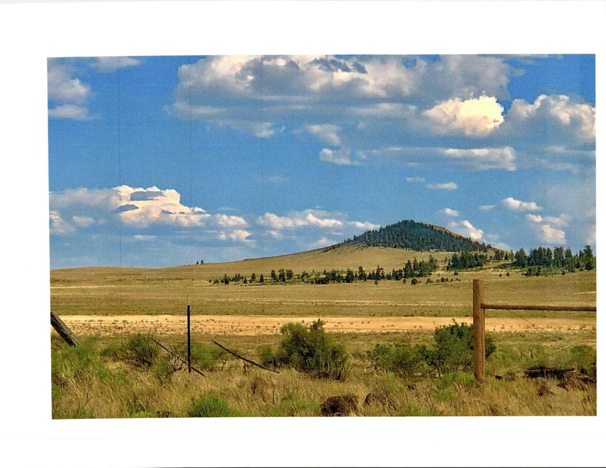 San Antonio Mountain Foothills, Tierra Amarilla, New Mexico image 4