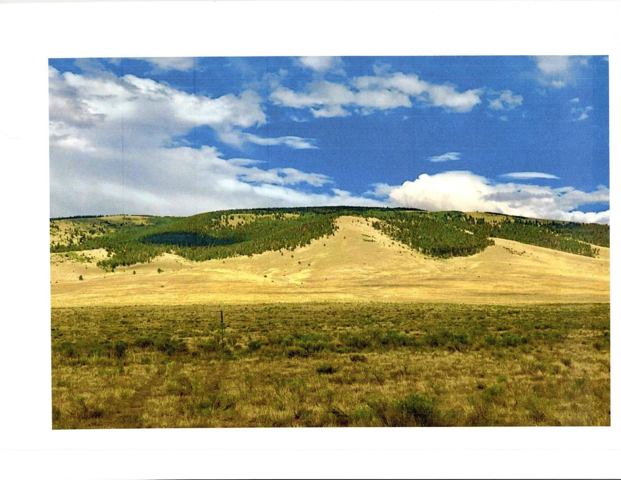 San Antonio Mountain Foothills, Tierra Amarilla, New Mexico image 1