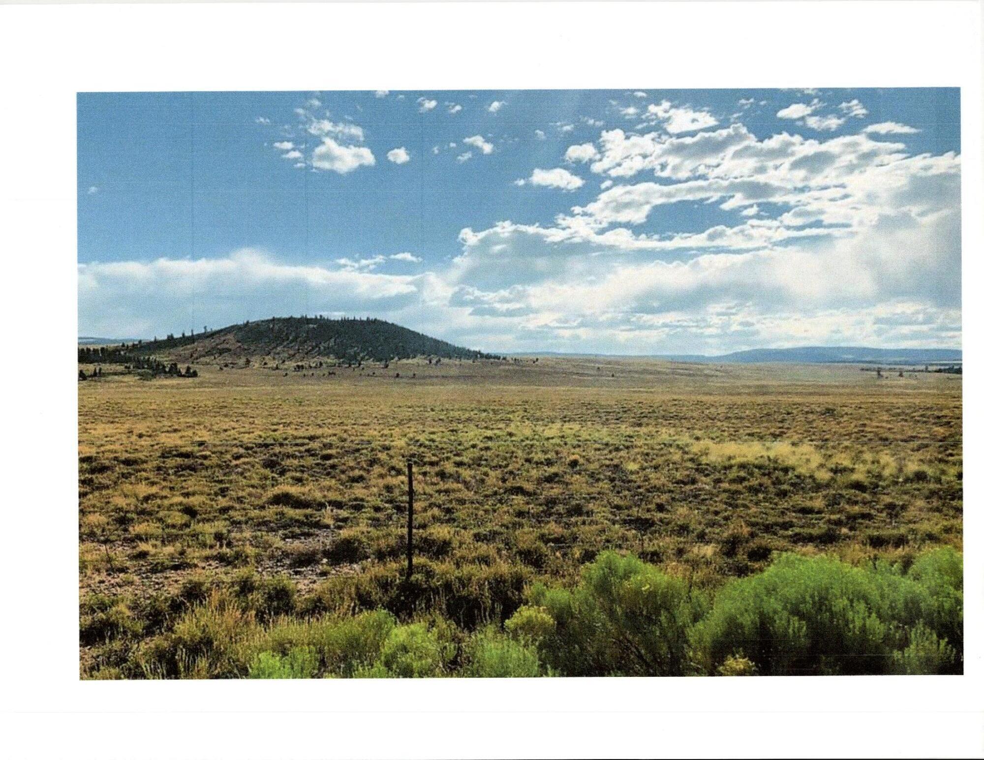 San Antonio Mountain Foothills, Tierra Amarilla, New Mexico image 5