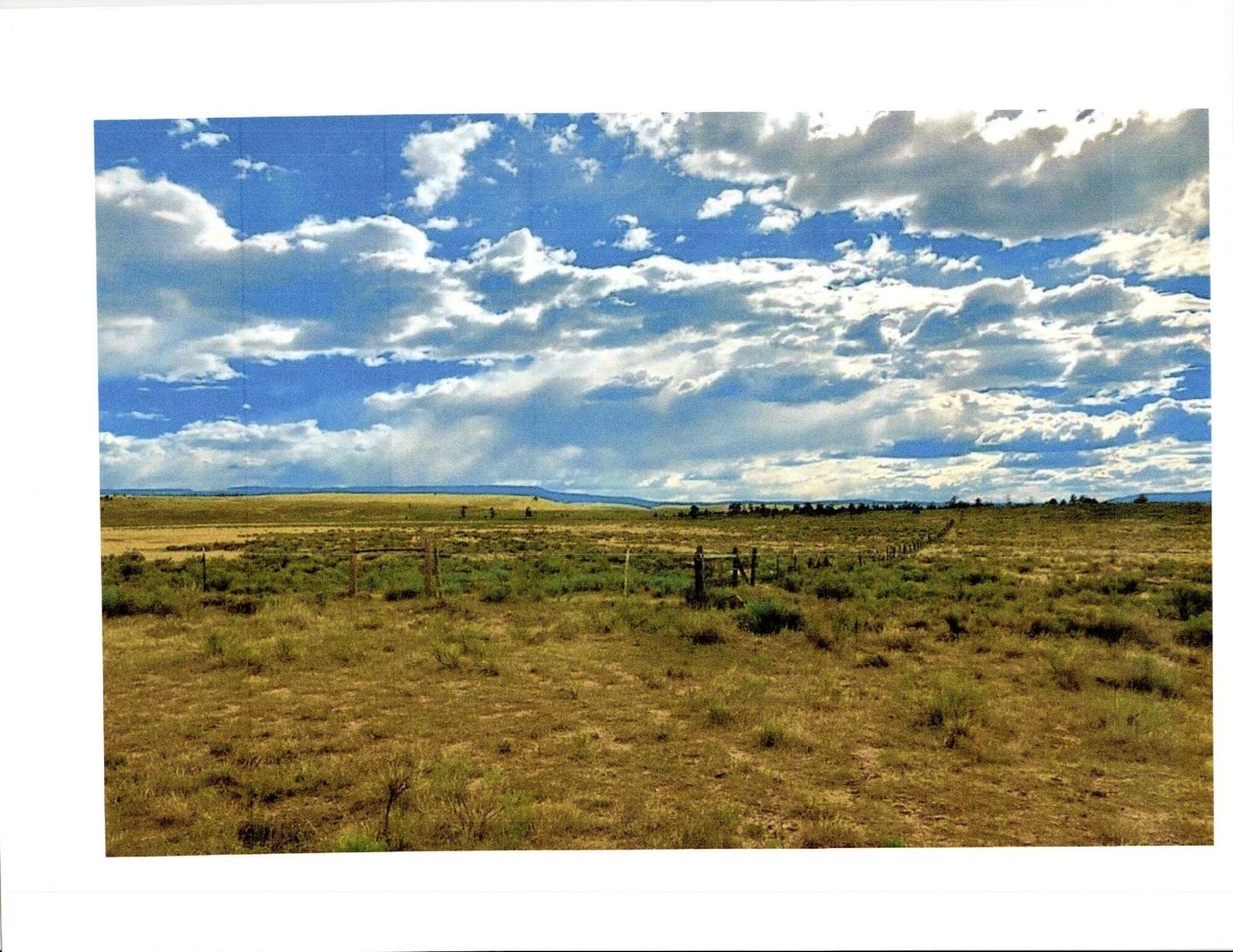 San Antonio Mountain Foothills, Tierra Amarilla, New Mexico image 6