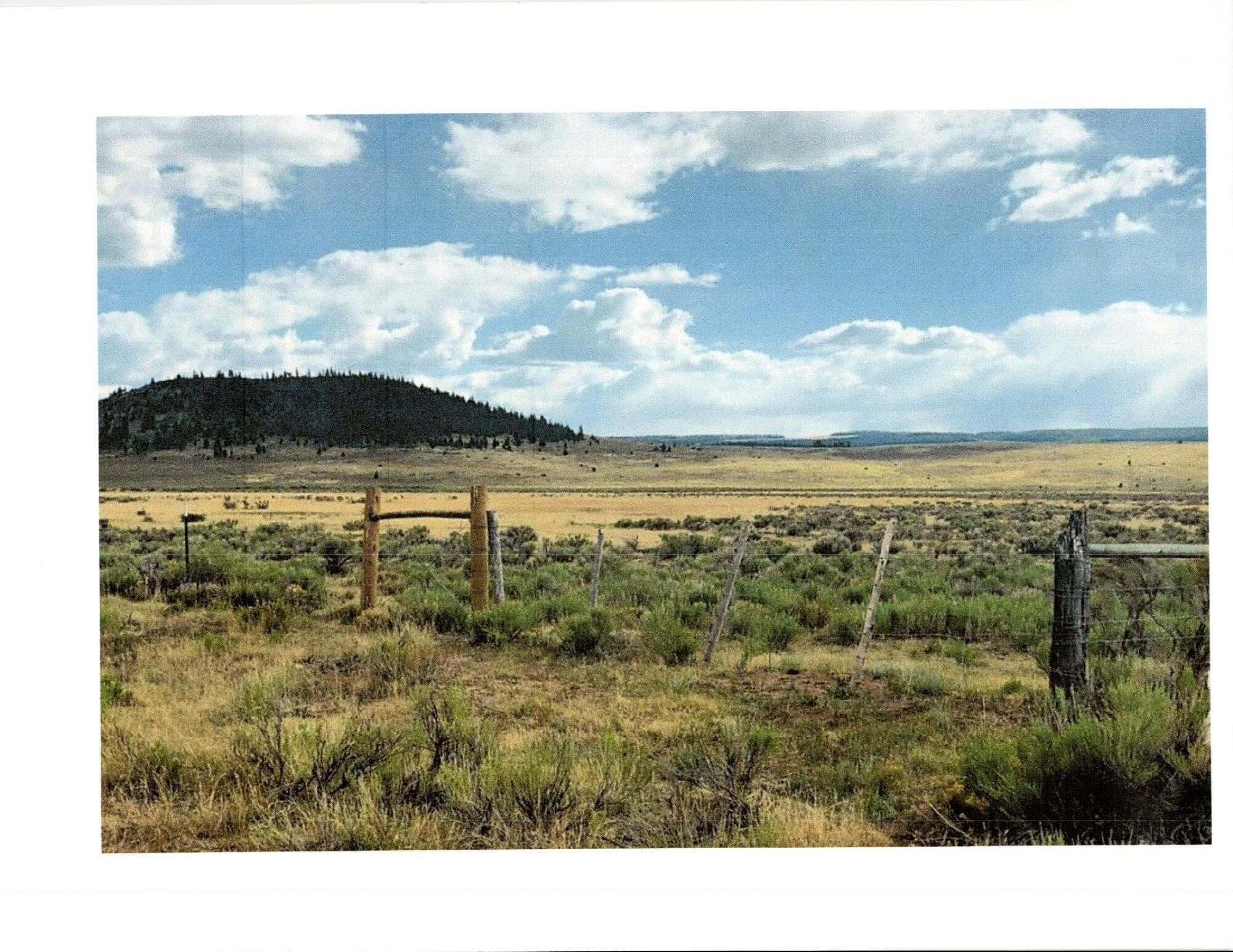 San Antonio Mountain Foothills, Tierra Amarilla, New Mexico image 2