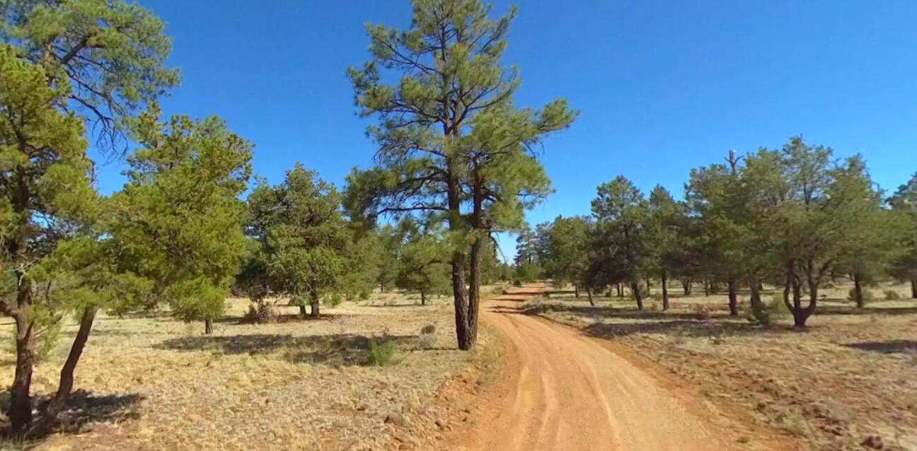 Tierra Verde, Grants, New Mexico image 2