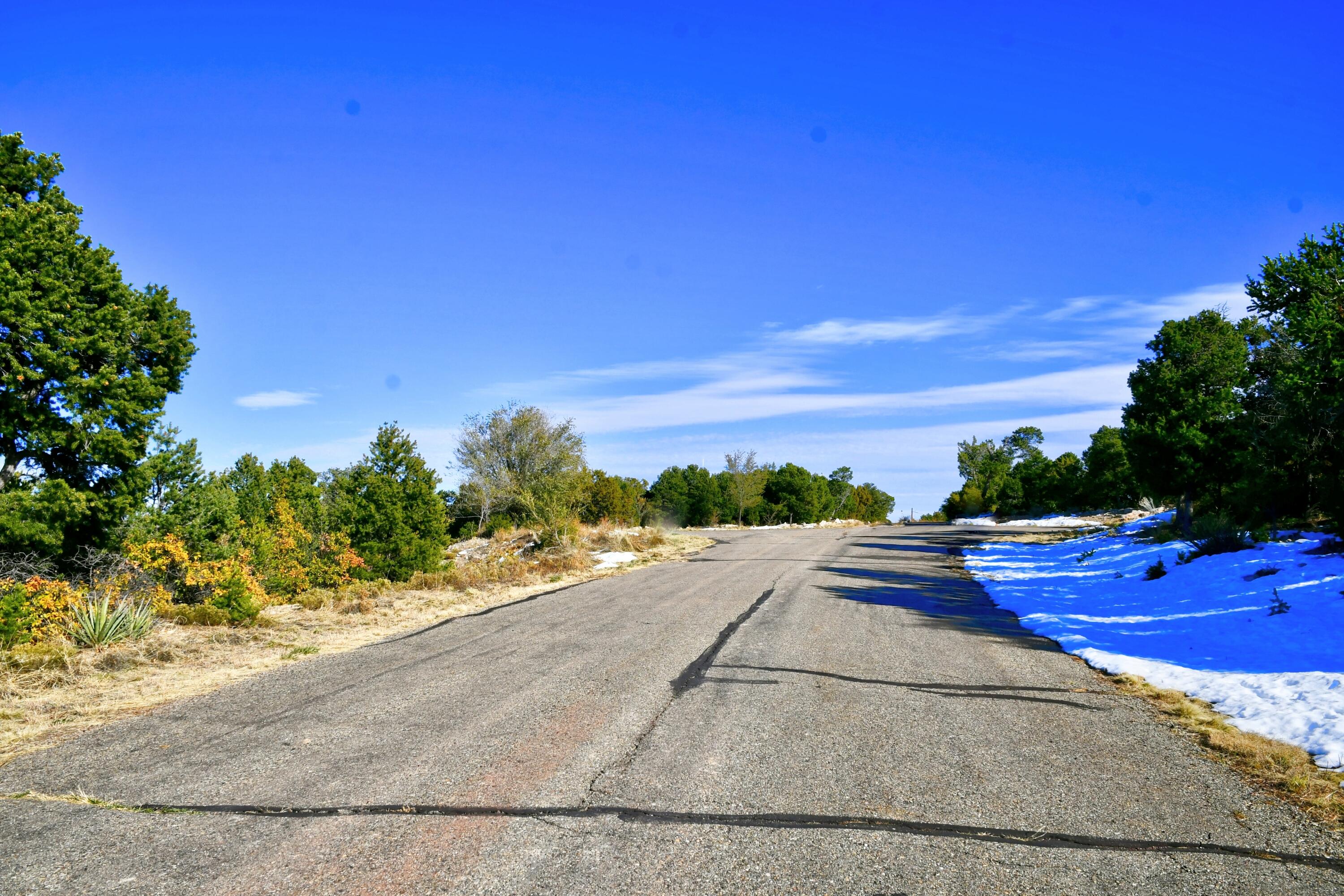 217 Via Sedillo Road, Tijeras, New Mexico image 19