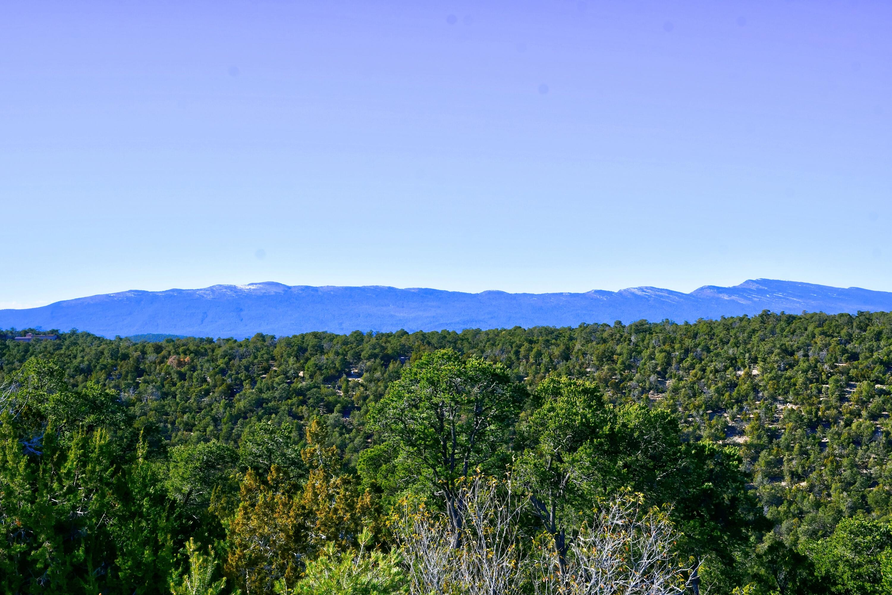 217 Via Sedillo Road, Tijeras, New Mexico image 16