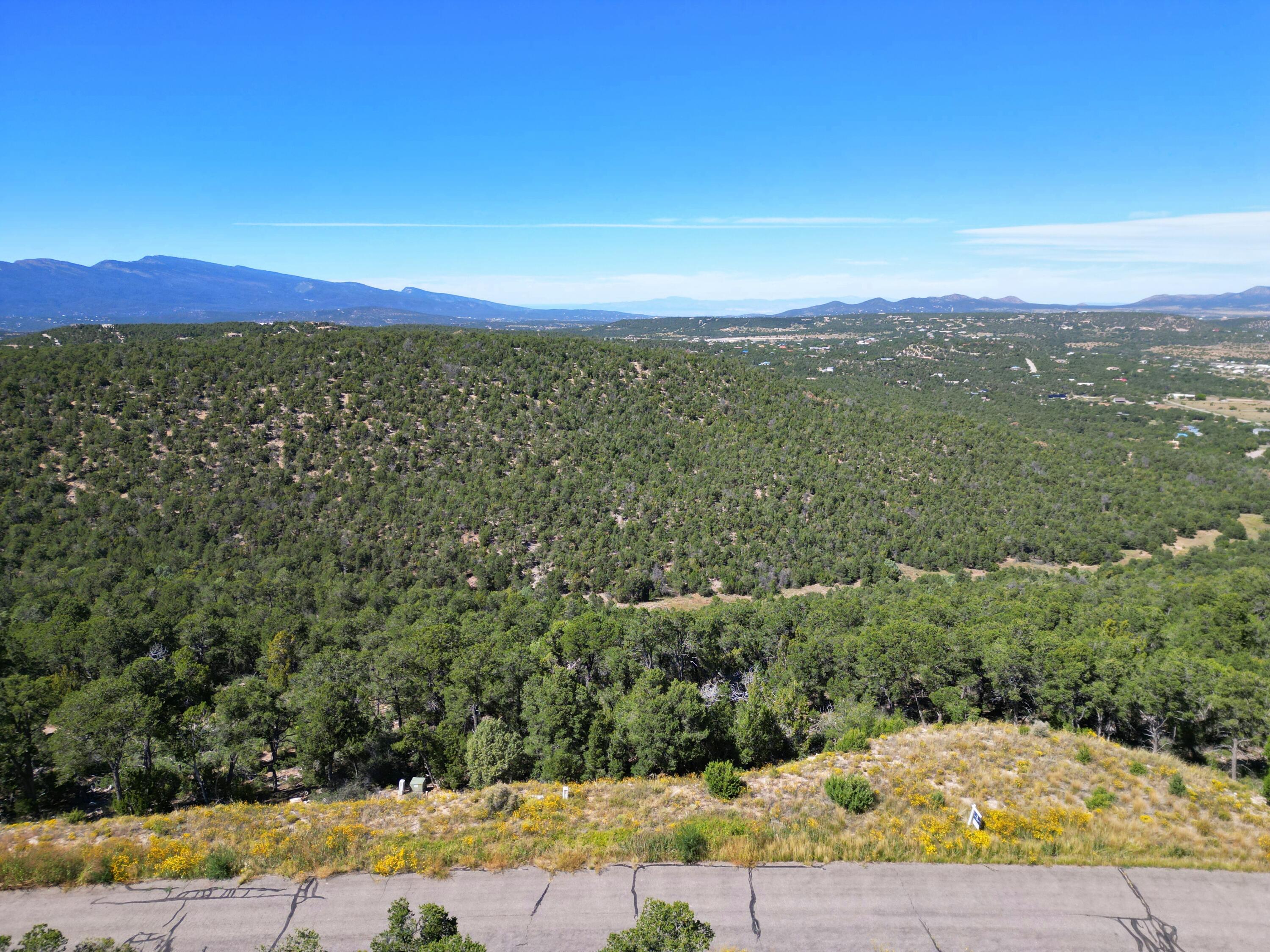 217 Via Sedillo Road, Tijeras, New Mexico image 4