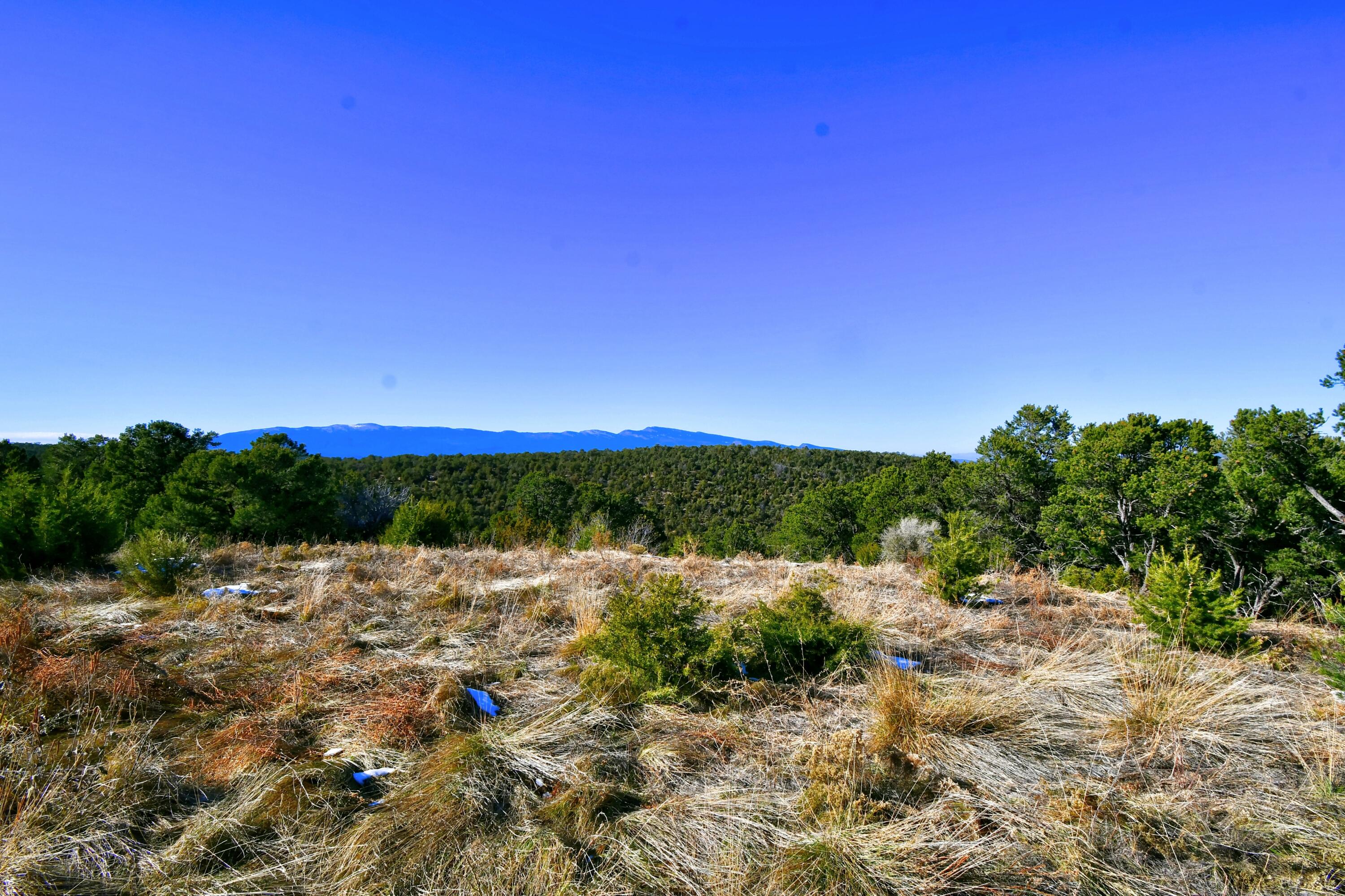 217 Via Sedillo Road, Tijeras, New Mexico image 20