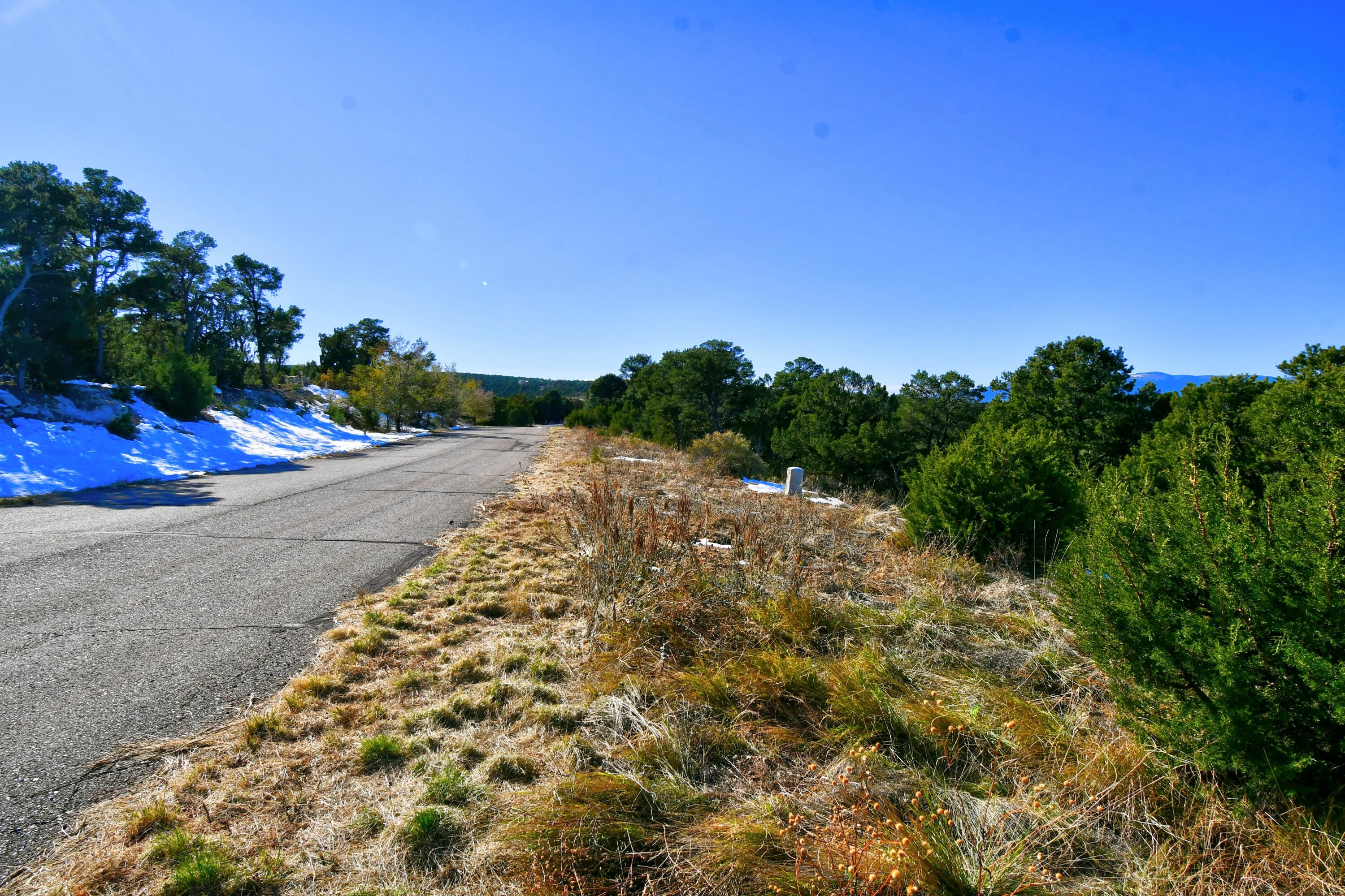 217 Via Sedillo Road, Tijeras, New Mexico image 12