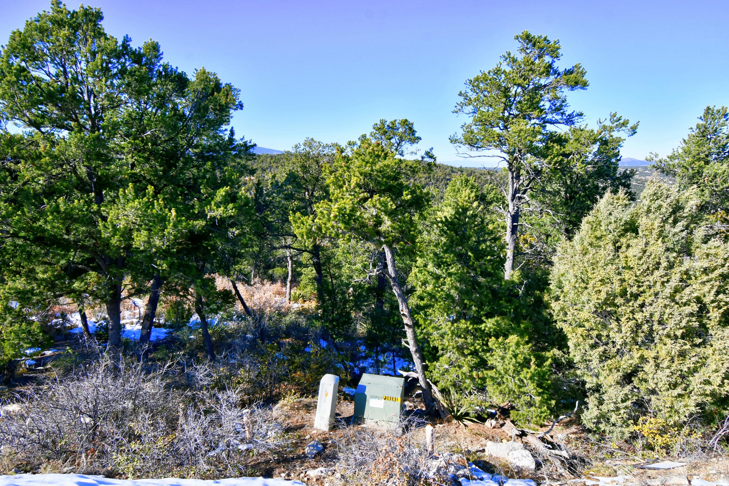 217 Via Sedillo Road, Tijeras, New Mexico image 13