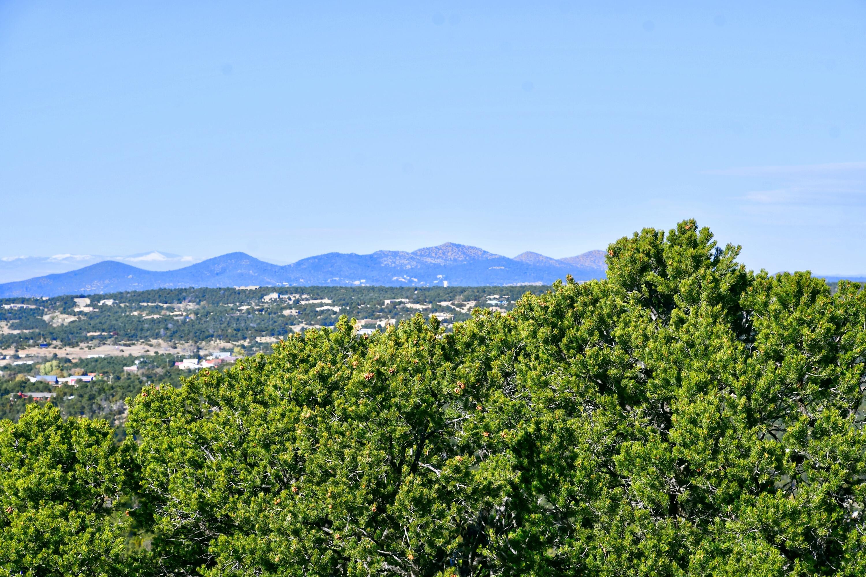 217 Via Sedillo Road, Tijeras, New Mexico image 17