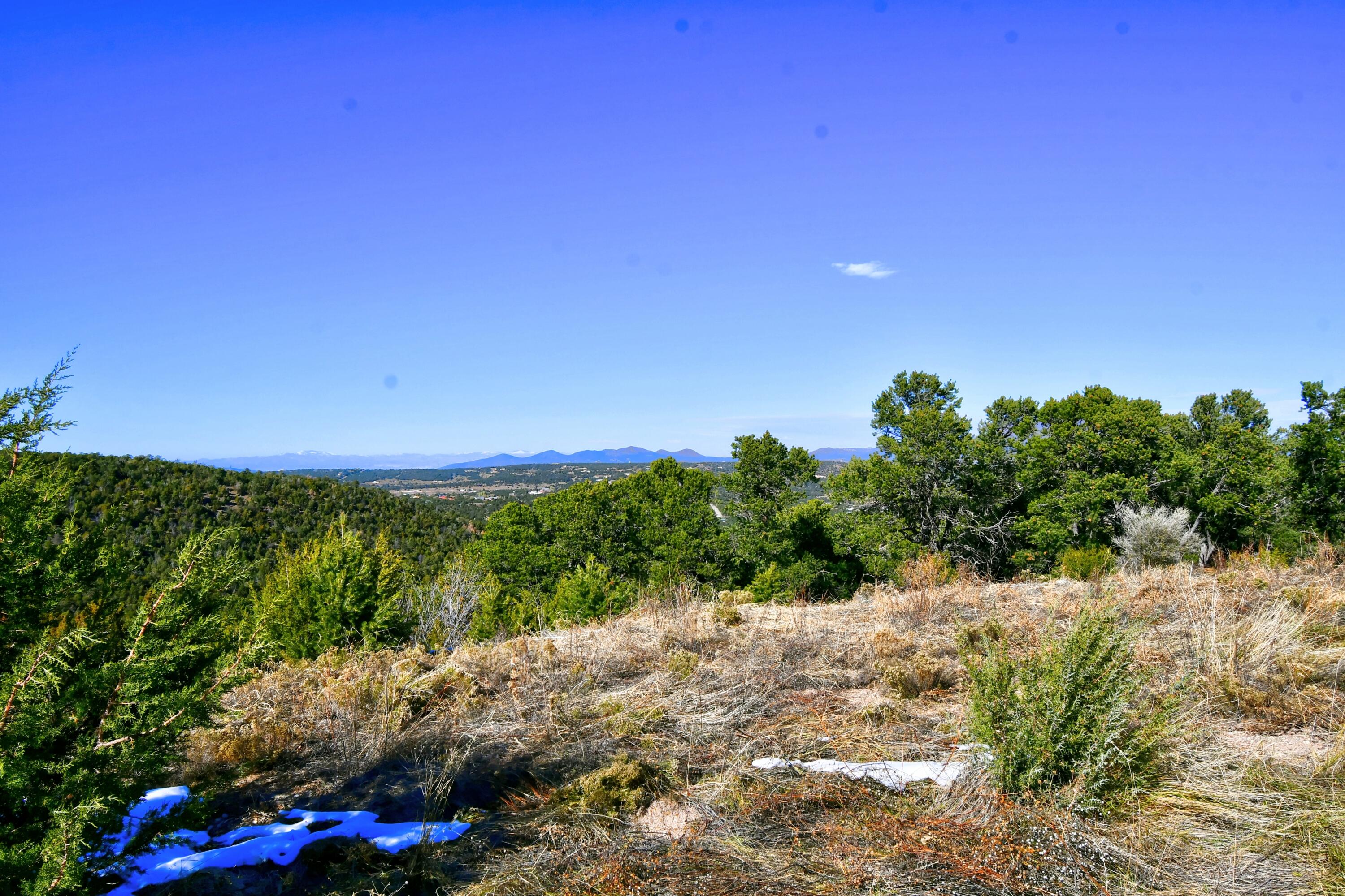 217 Via Sedillo Road, Tijeras, New Mexico image 9