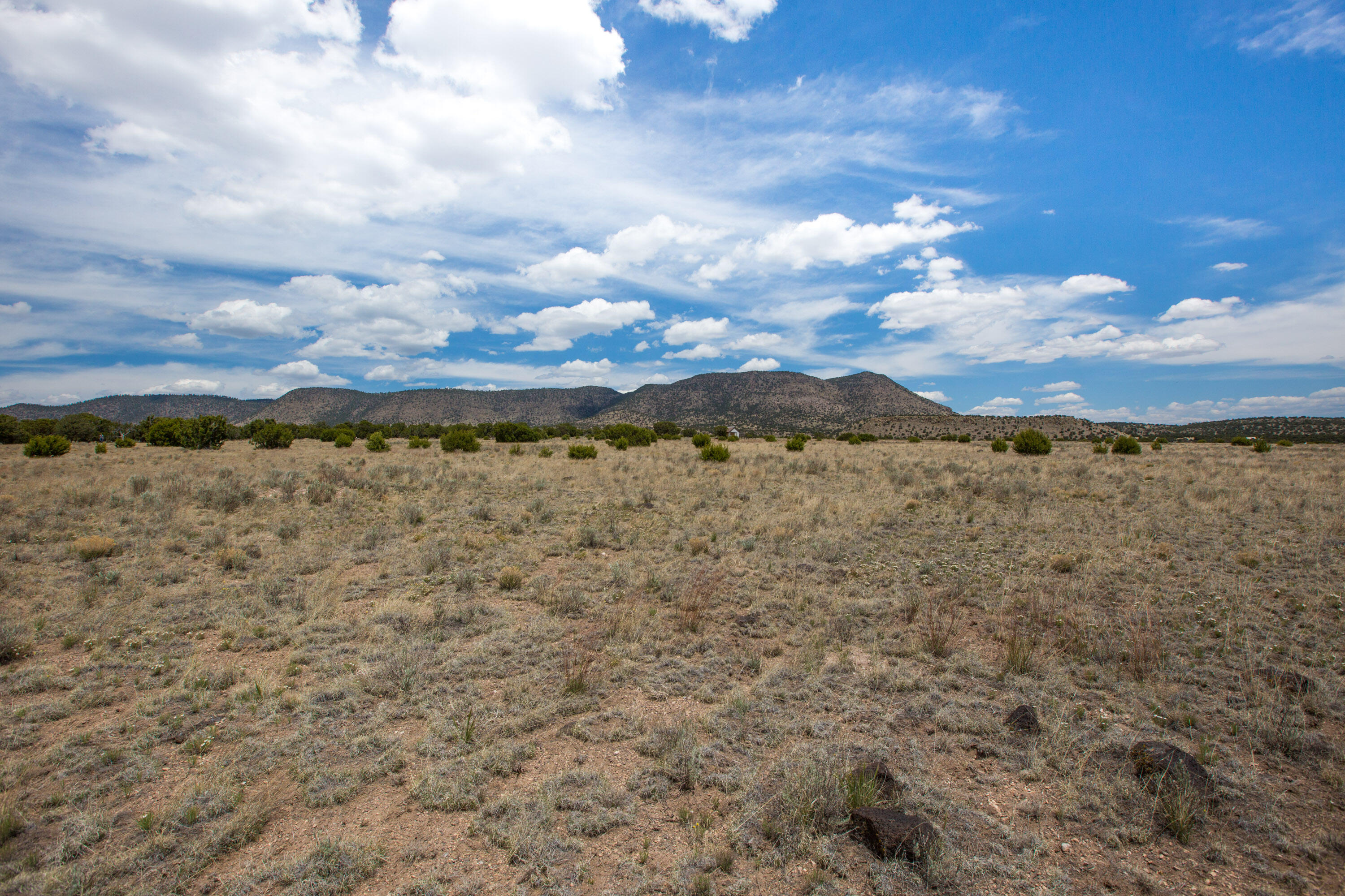 96 Sugarloaf Trail, Datil, New Mexico image 7