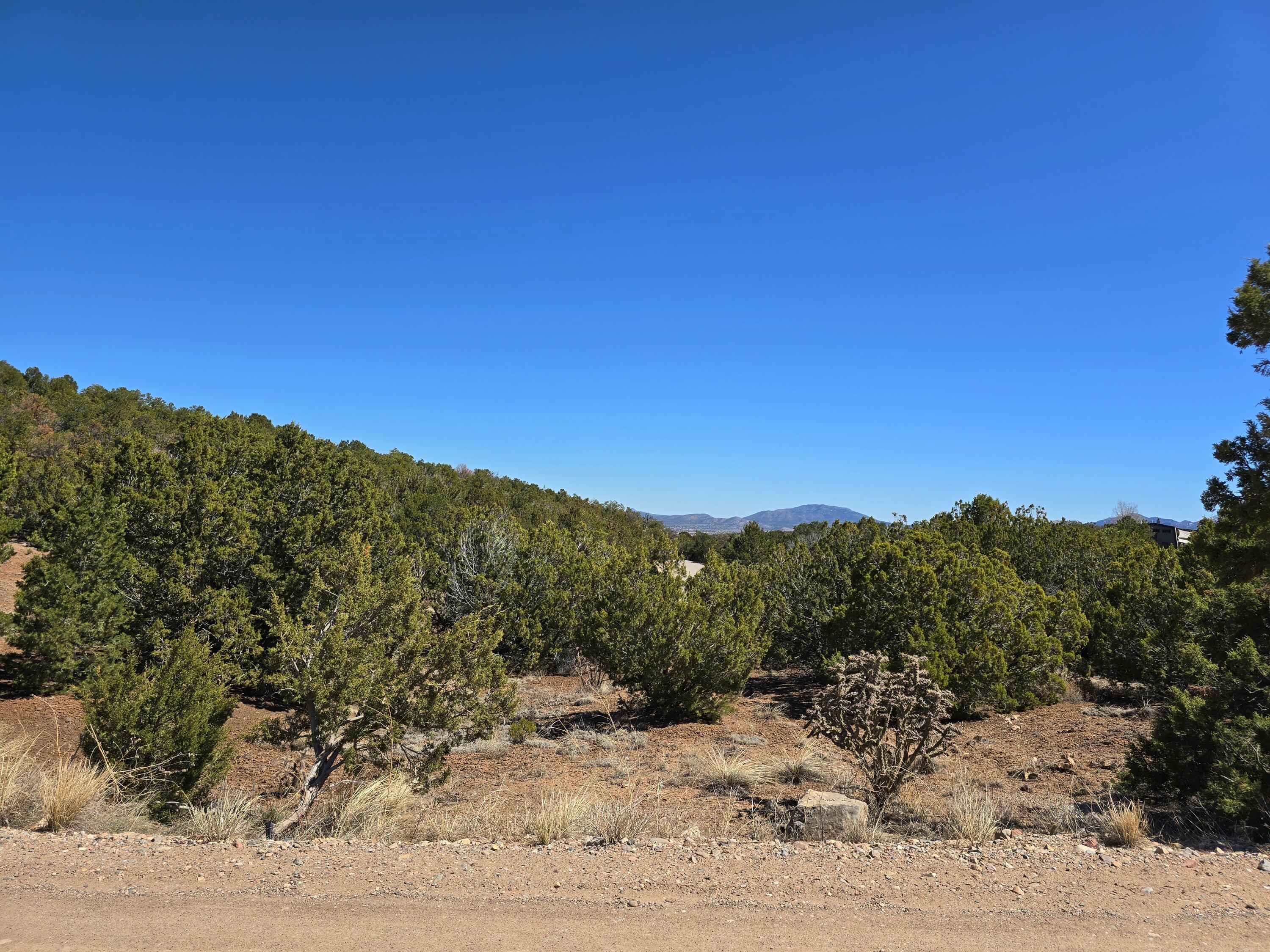 La Madera Road, Sandia Park, New Mexico image 18