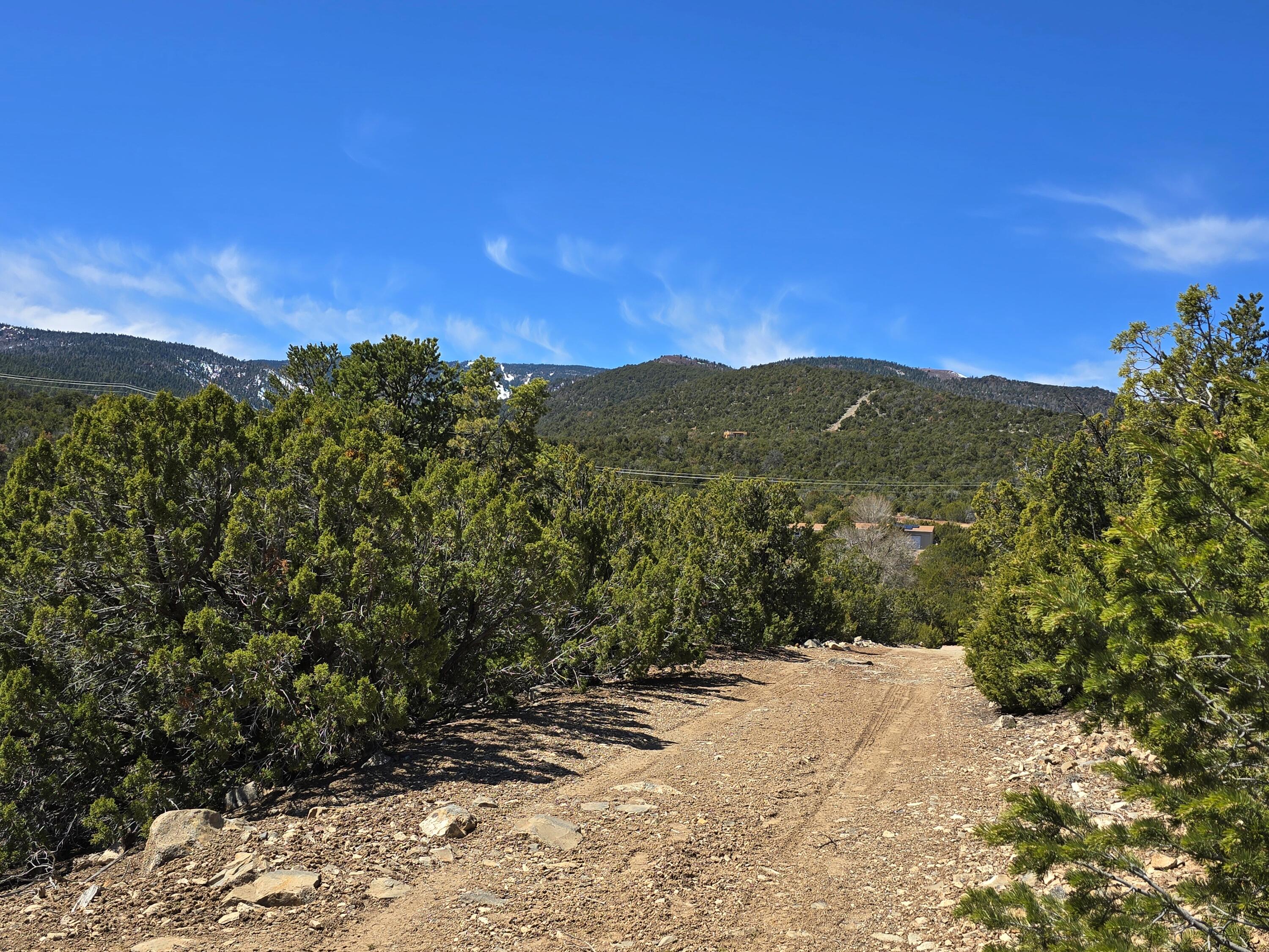 La Madera Road, Sandia Park, New Mexico image 3