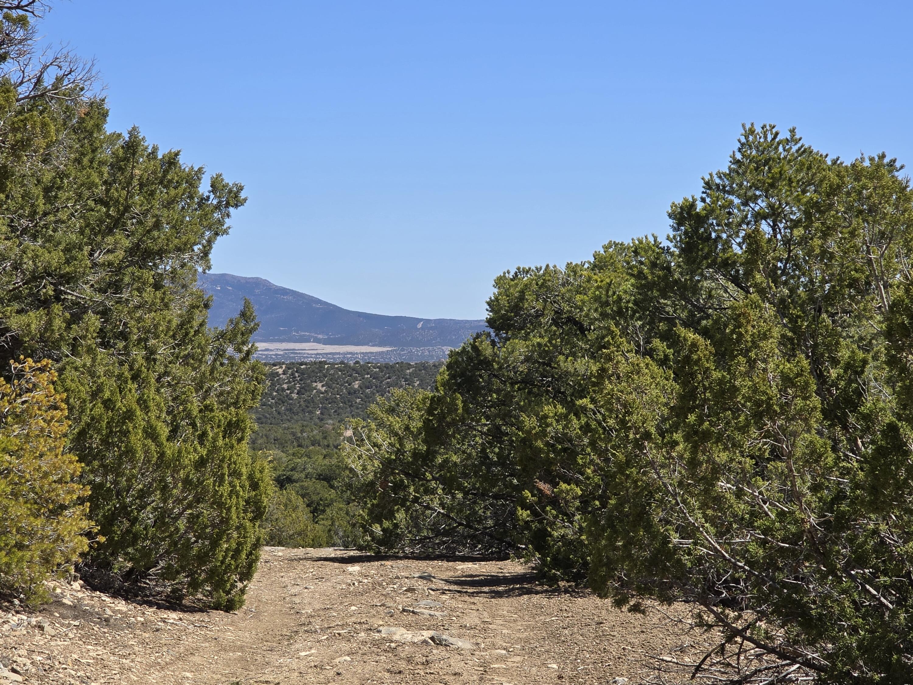 La Madera Road, Sandia Park, New Mexico image 12