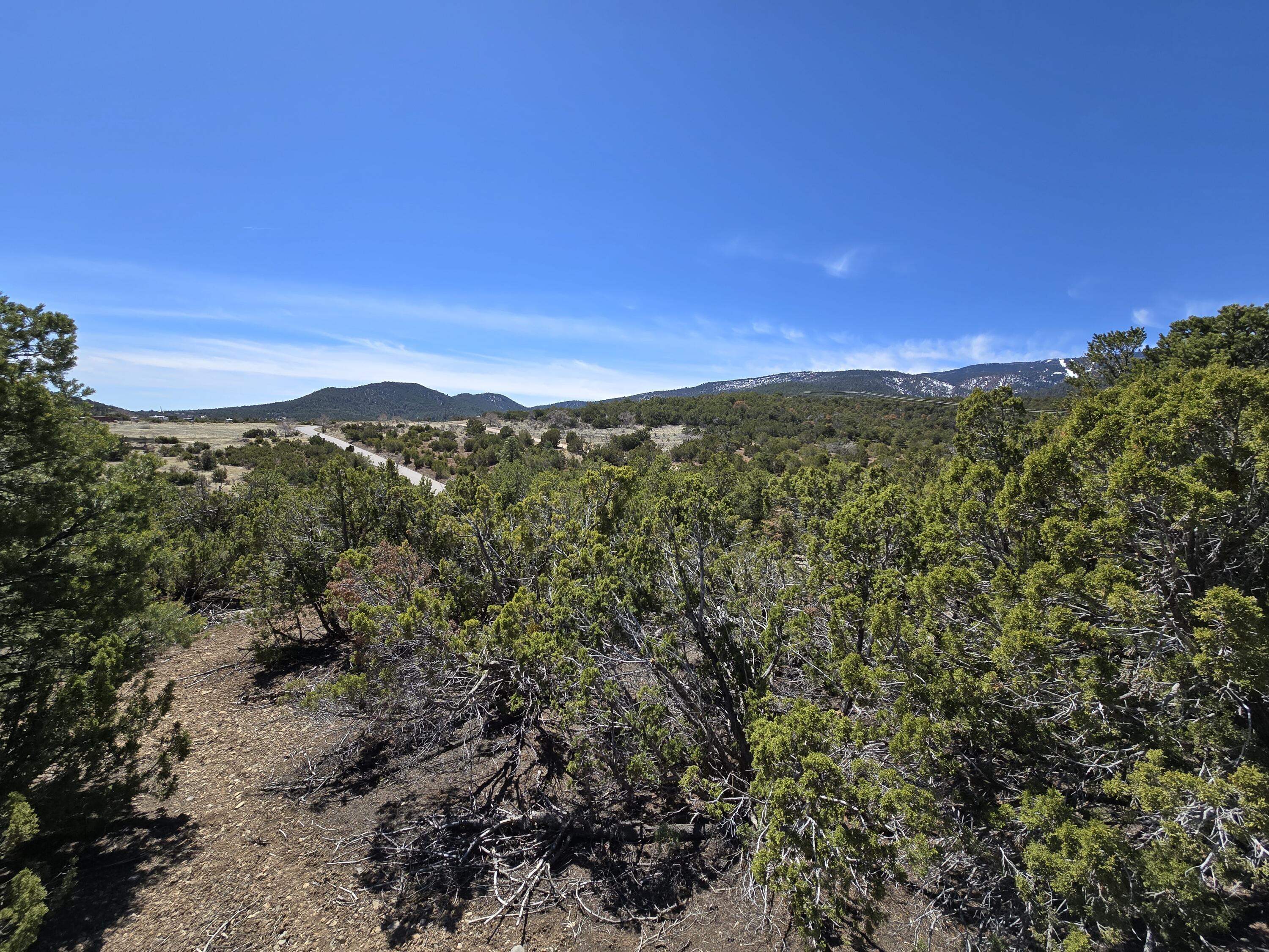 La Madera Road, Sandia Park, New Mexico image 9