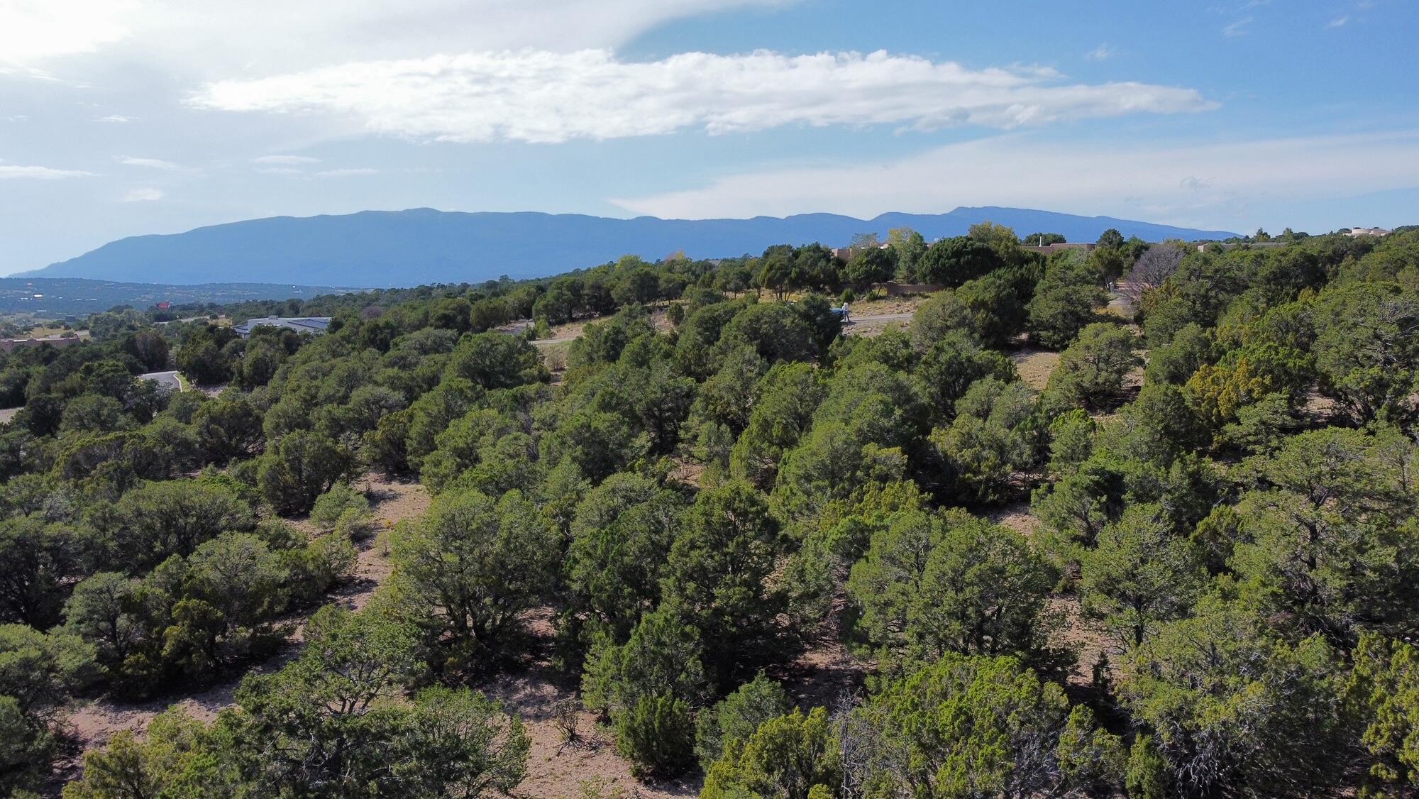 18 Pinon Ridge Road, Tijeras, New Mexico image 11