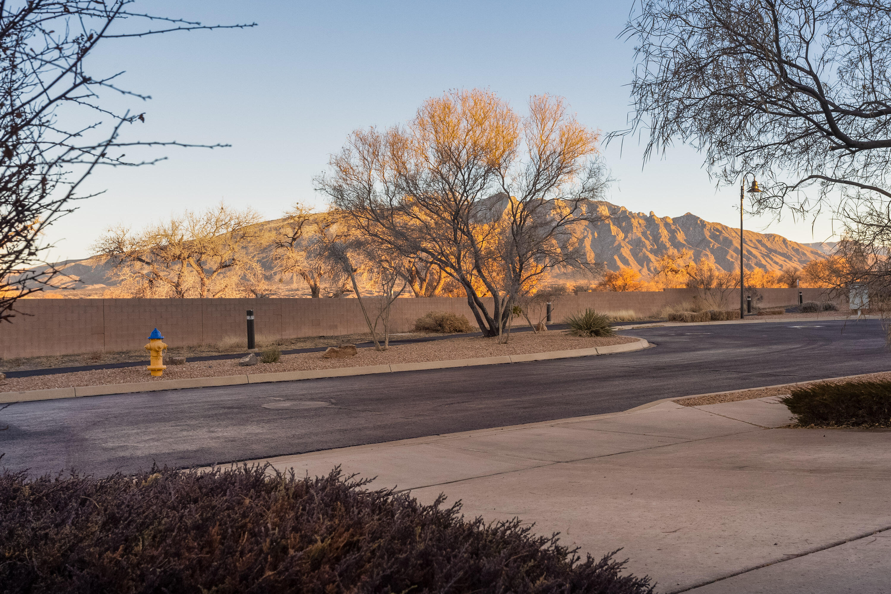 863 Evening Primrose Lane, Bernalillo, New Mexico image 30