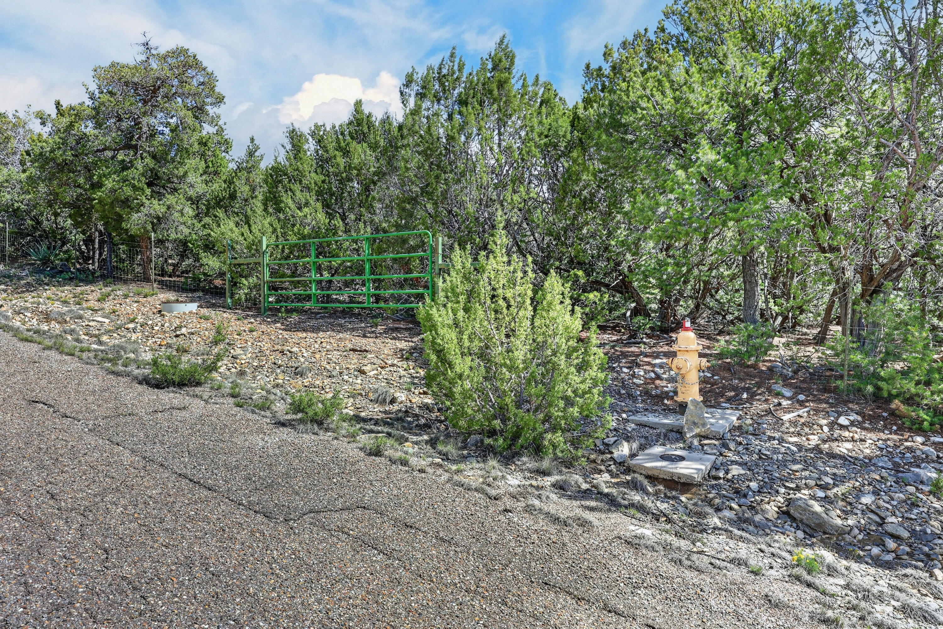 40 Alta Vista Road