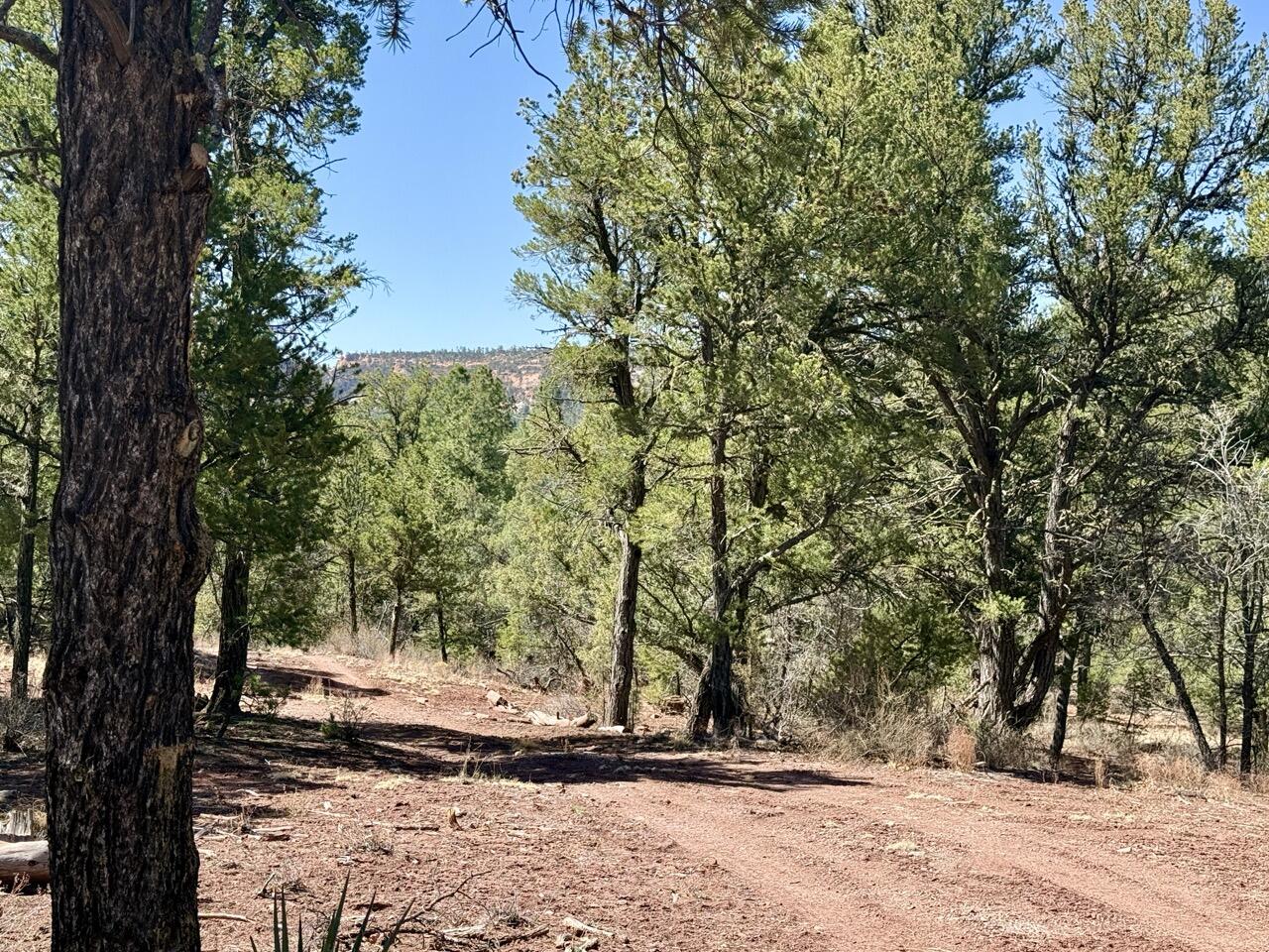 Lot 19 Pinetree Road, Ramah, New Mexico image 39