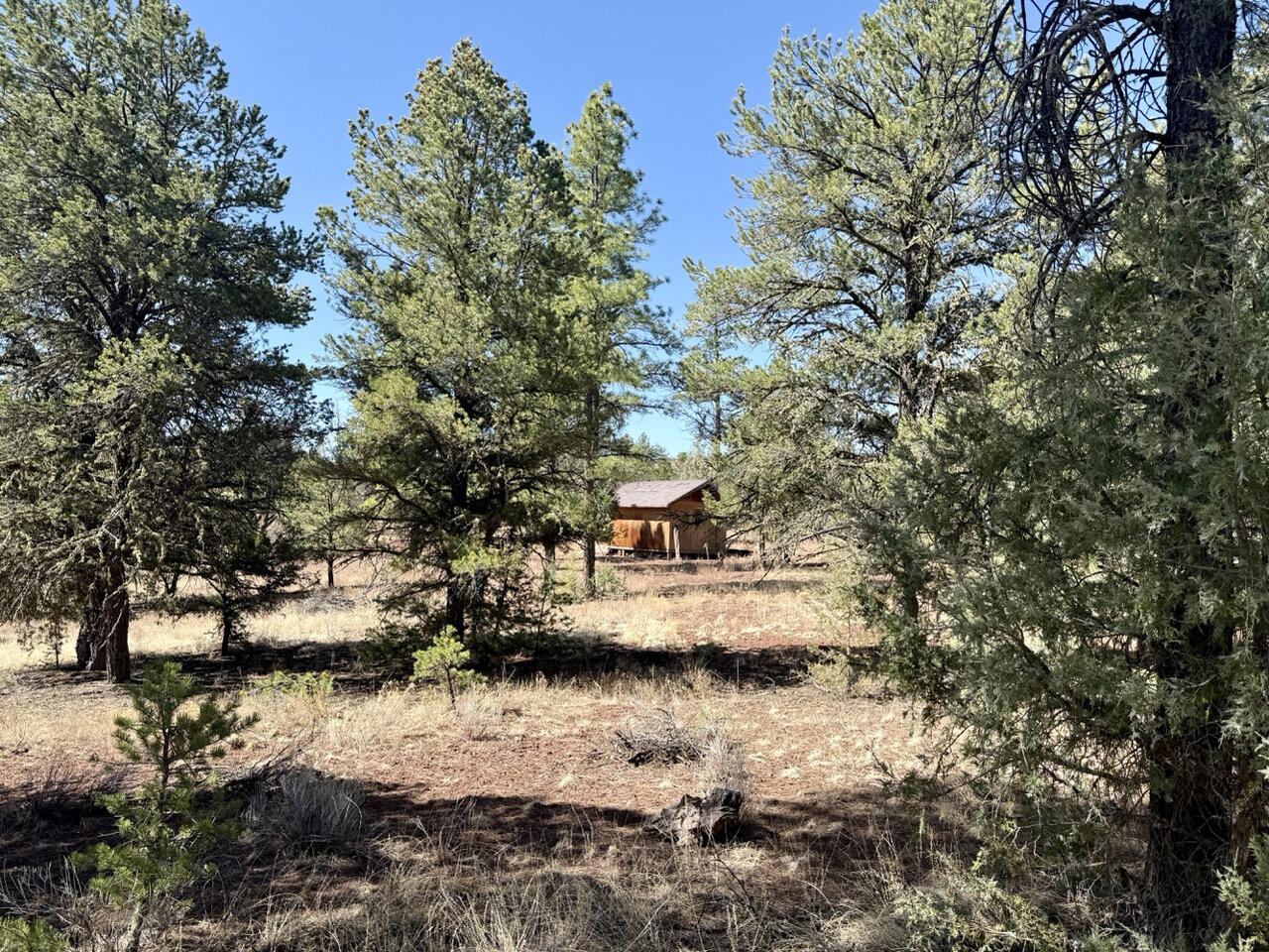 Lot 19 Pinetree Road, Ramah, New Mexico image 2