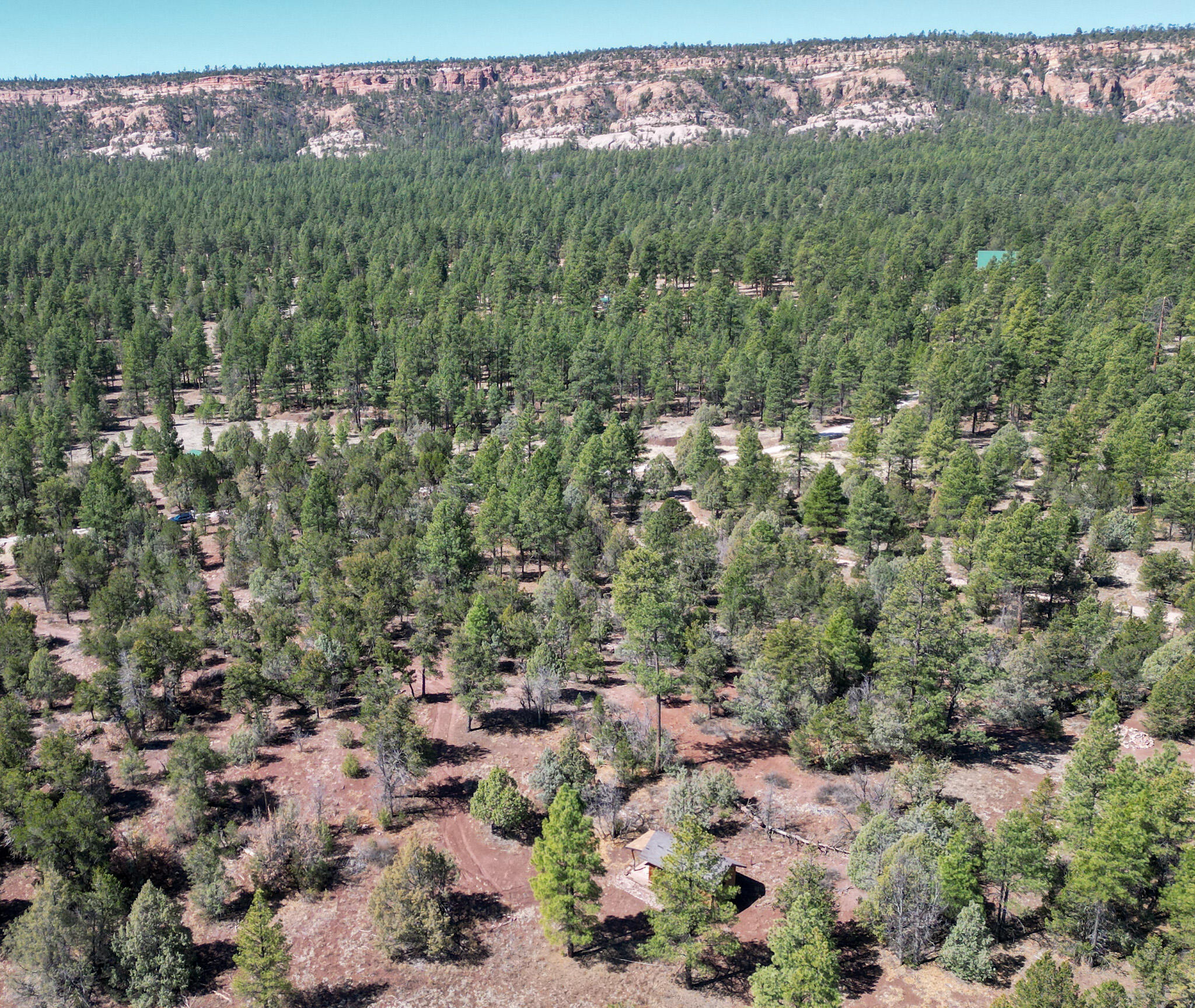 Lot 19 Pinetree Road, Ramah, New Mexico image 3