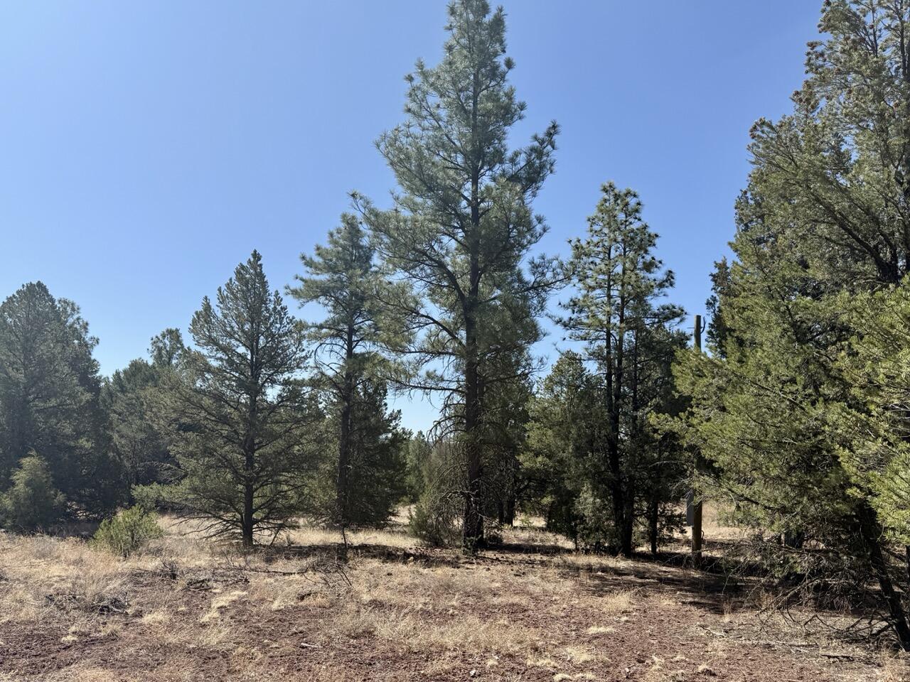 Lot 19 Pinetree Road, Ramah, New Mexico image 17