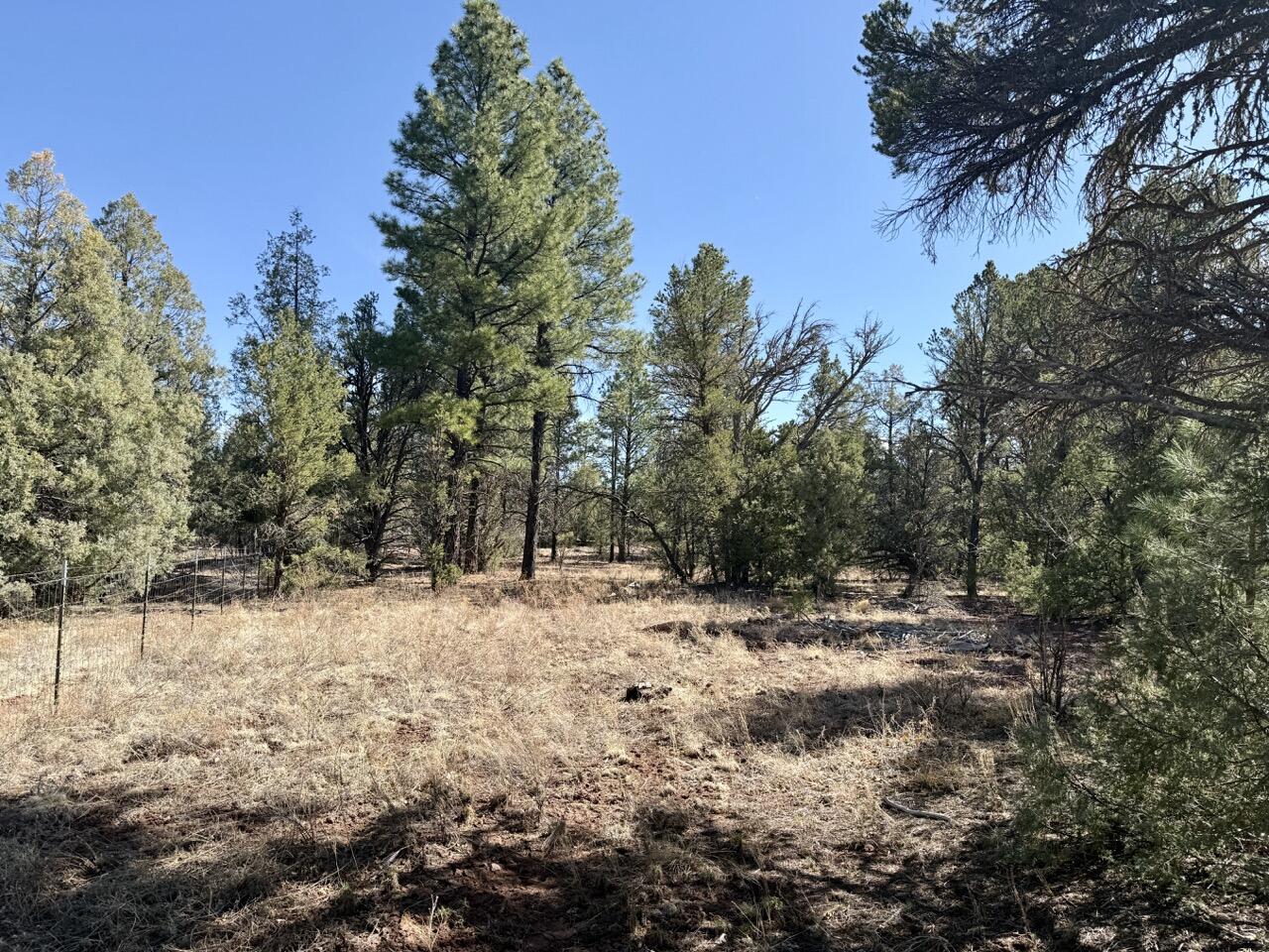 Lot 19 Pinetree Road, Ramah, New Mexico image 6