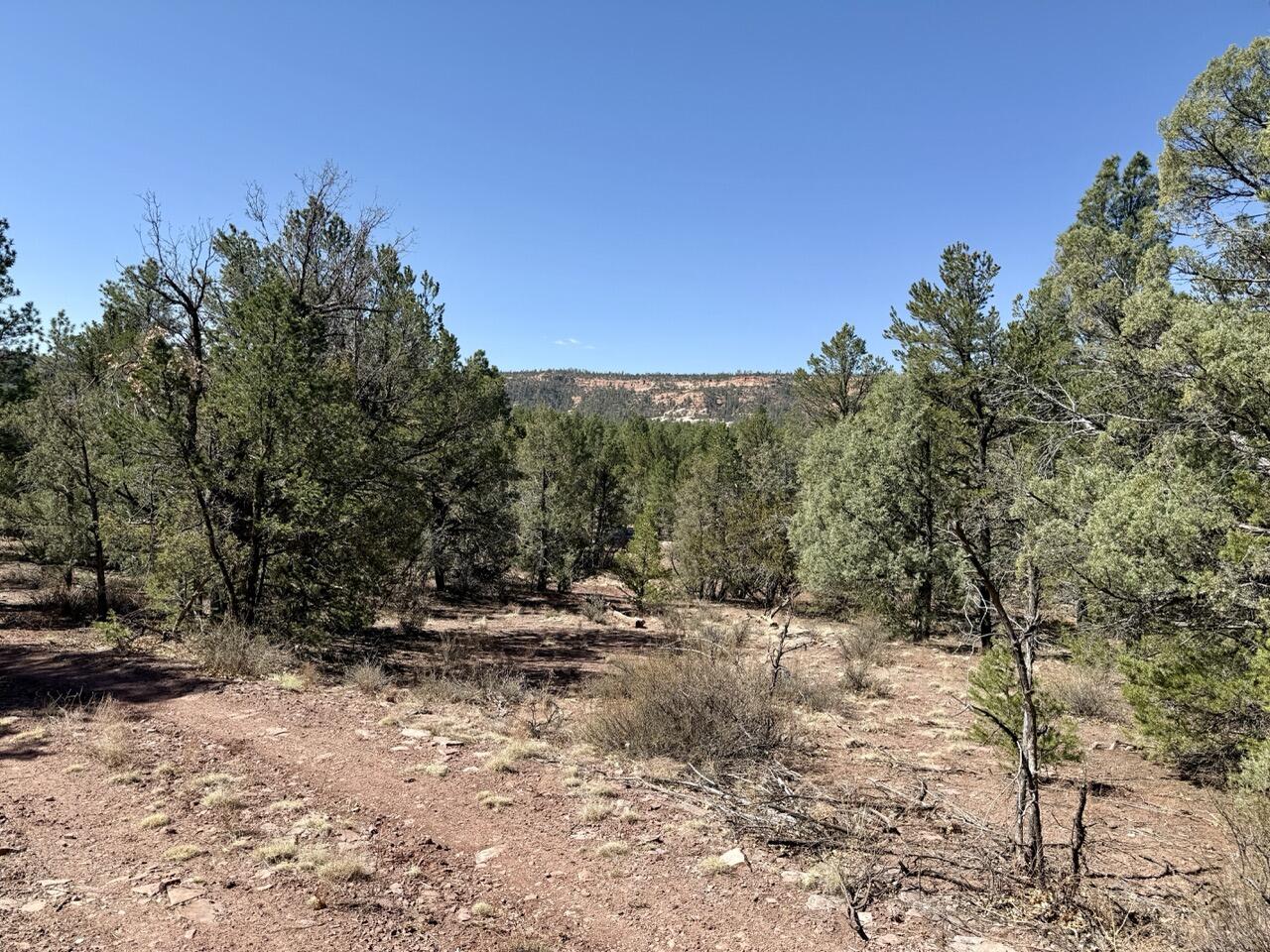 Lot 19 Pinetree Road, Ramah, New Mexico image 44