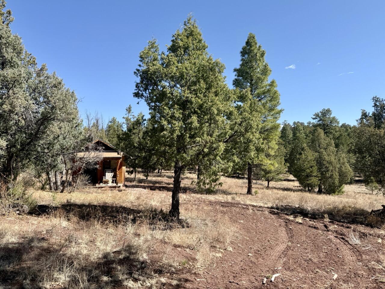 Lot 19 Pinetree Road, Ramah, New Mexico image 4